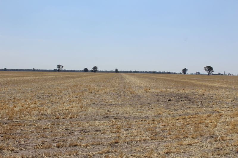 '' Kyona", Moree NSW 2400, Moree - Thumbnail 3