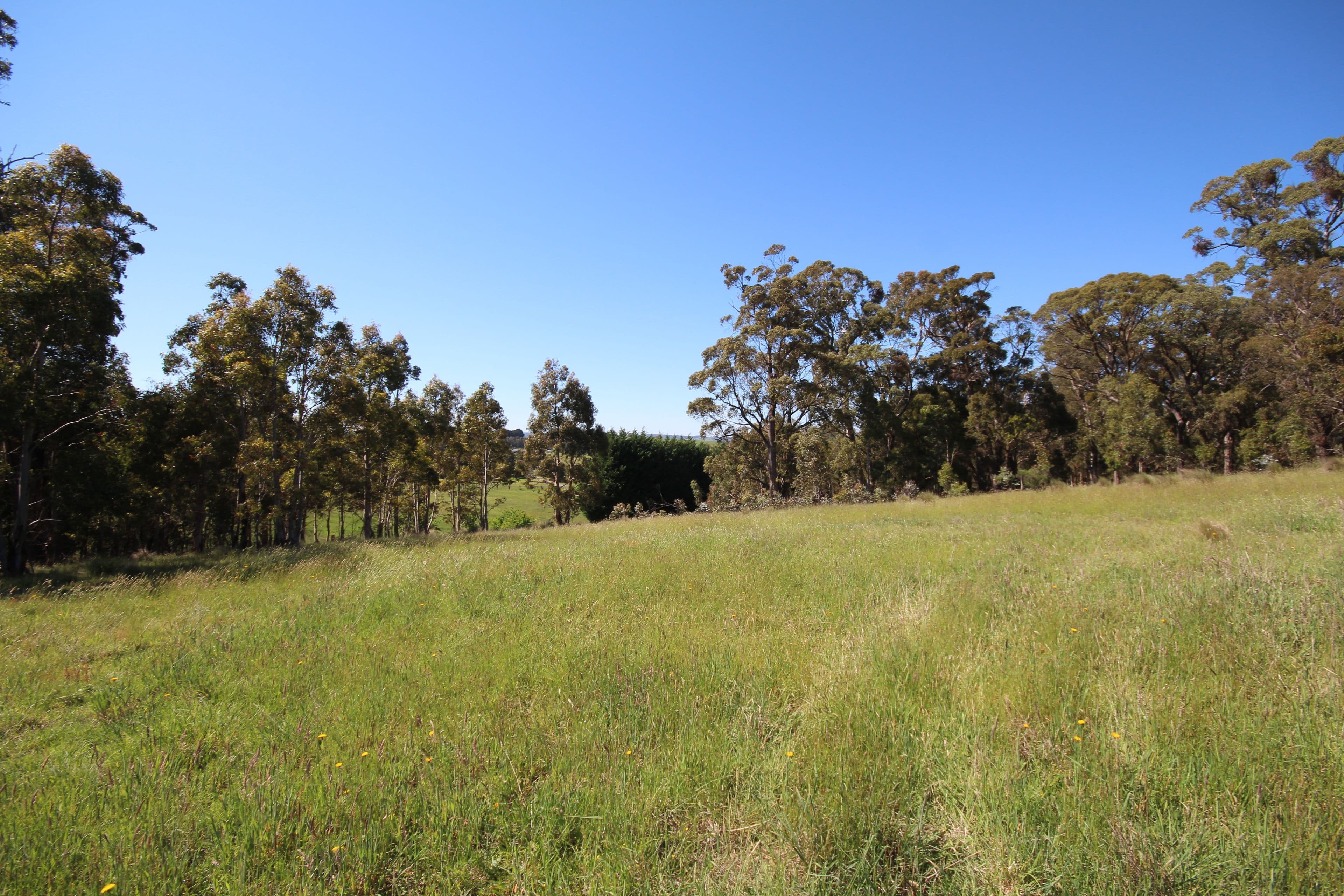 31 Marks Crescent, Oberon NSW 2787, Oberon - Thumbnail 3