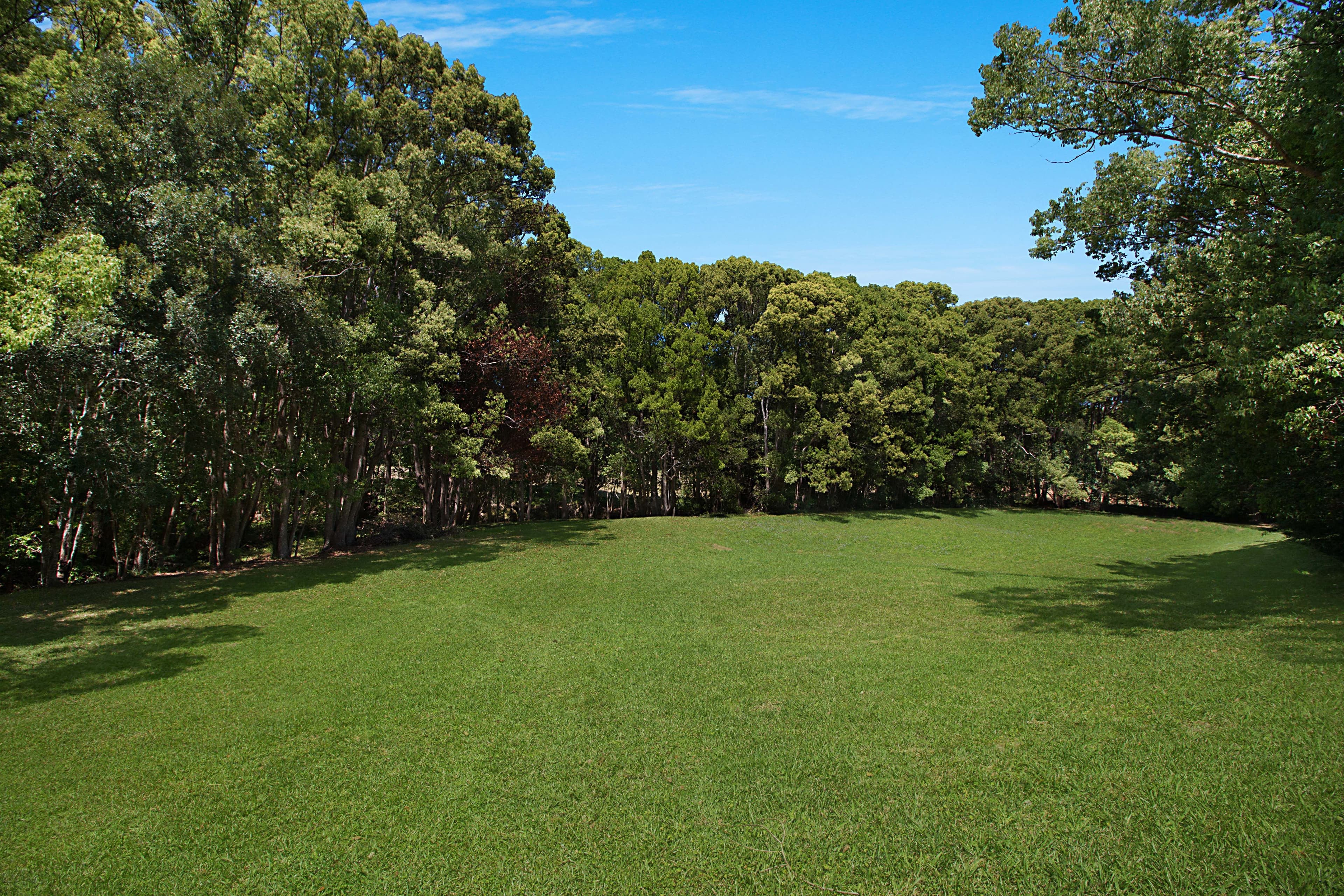 163 Blakeneys Road, Stokers Siding NSW 2484, Stokers Siding - Thumbnail 6