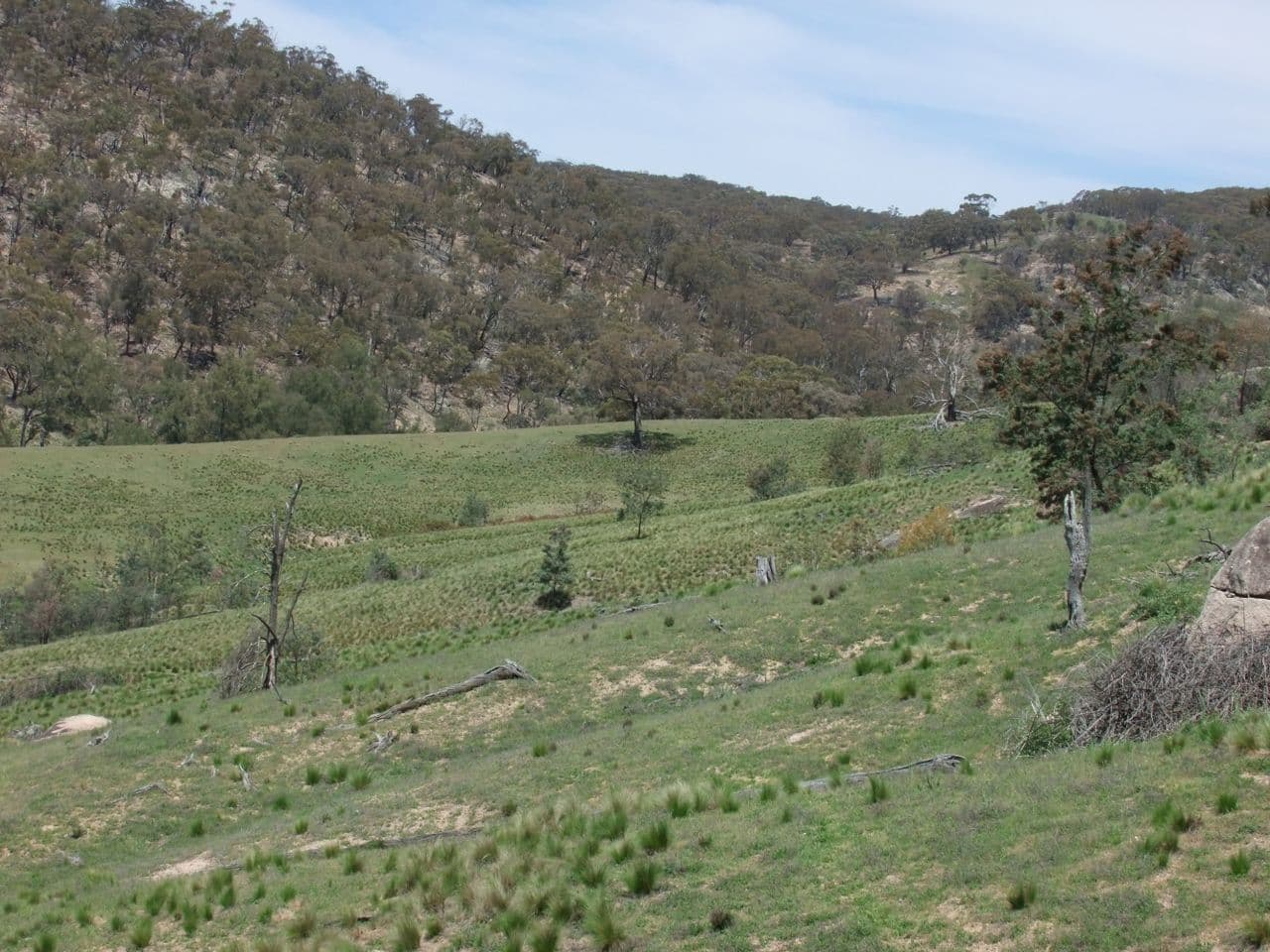 Bathurst NSW 2795, Bathurst - Thumbnail 4
