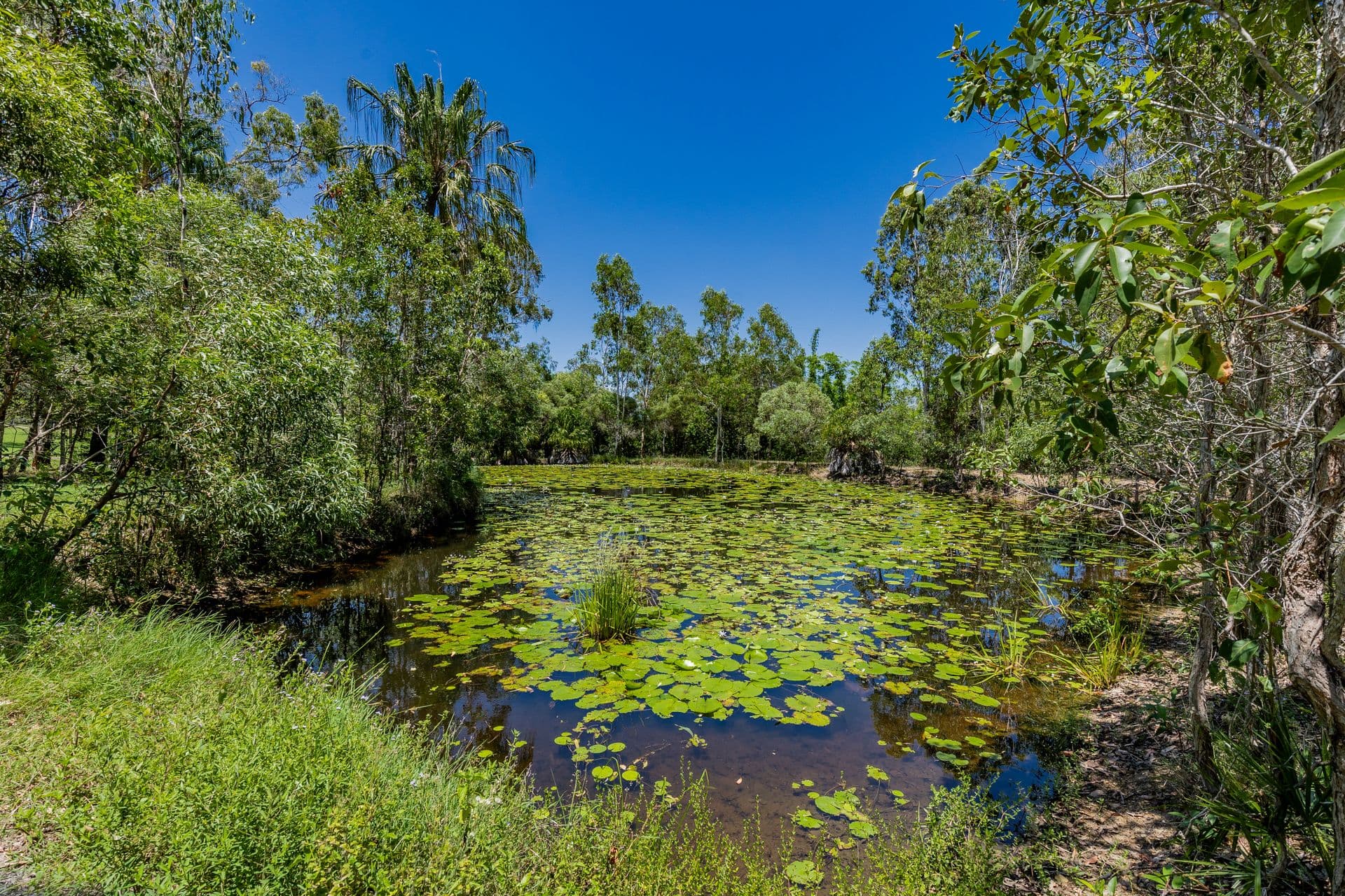 103 Innamincka Way, Agnes Water QLD 4677, Agnes Water - Thumbnail 3