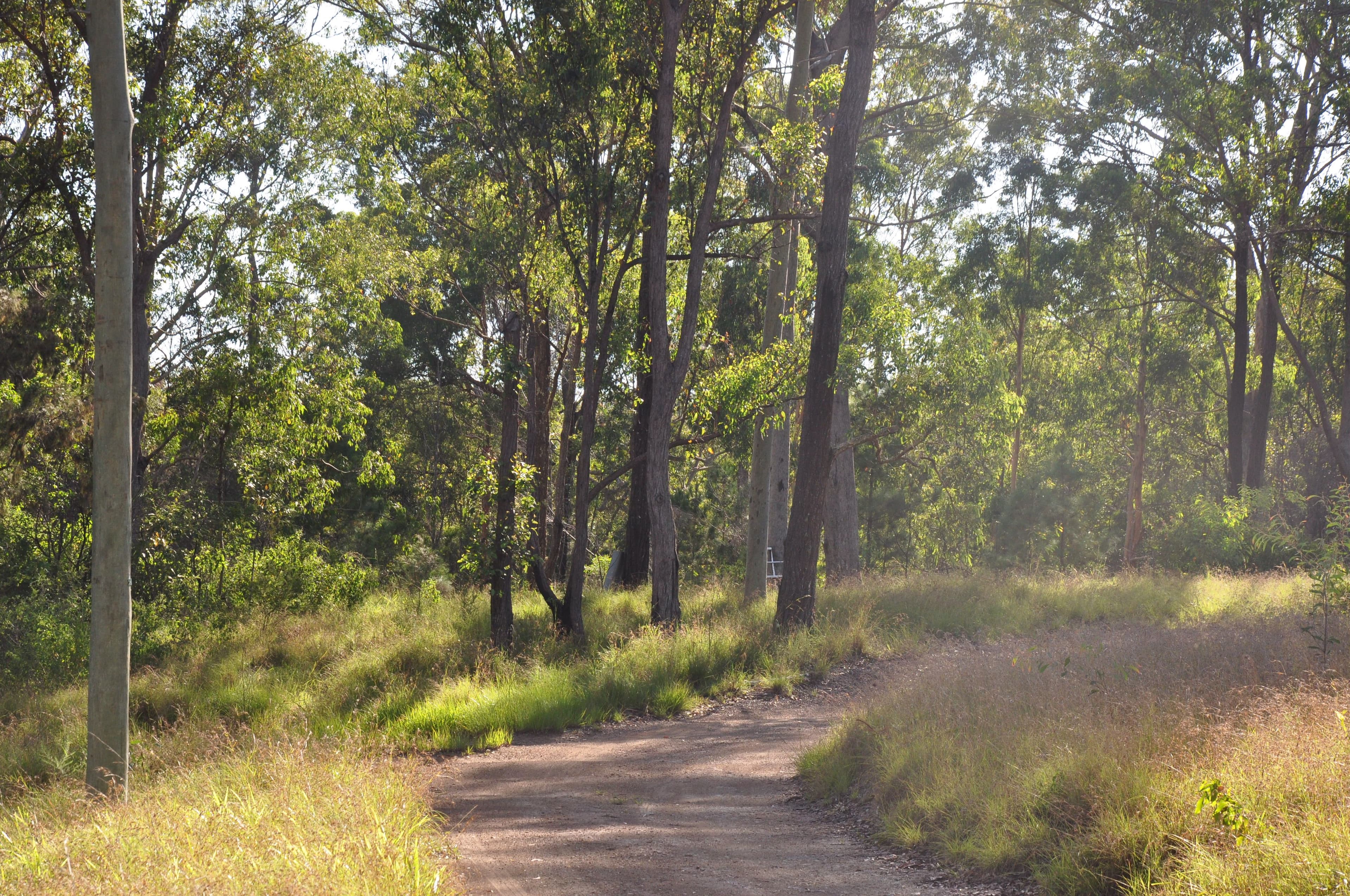 718 Pipers Creek Road, Dondingalong NSW 2440, Dondingalong - Thumbnail 3