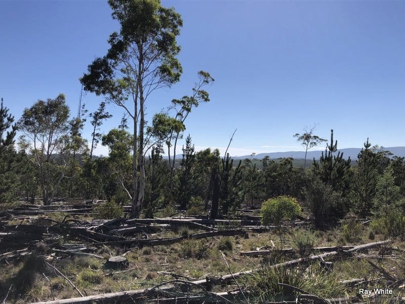 Lot 94 Back Creek Road, Braidwood NSW 2622, Braidwood - Thumbnail 6