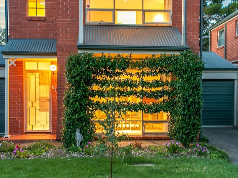  67 Conyngham Street, Glenside SA 5065, Glenside - Thumbnail 4