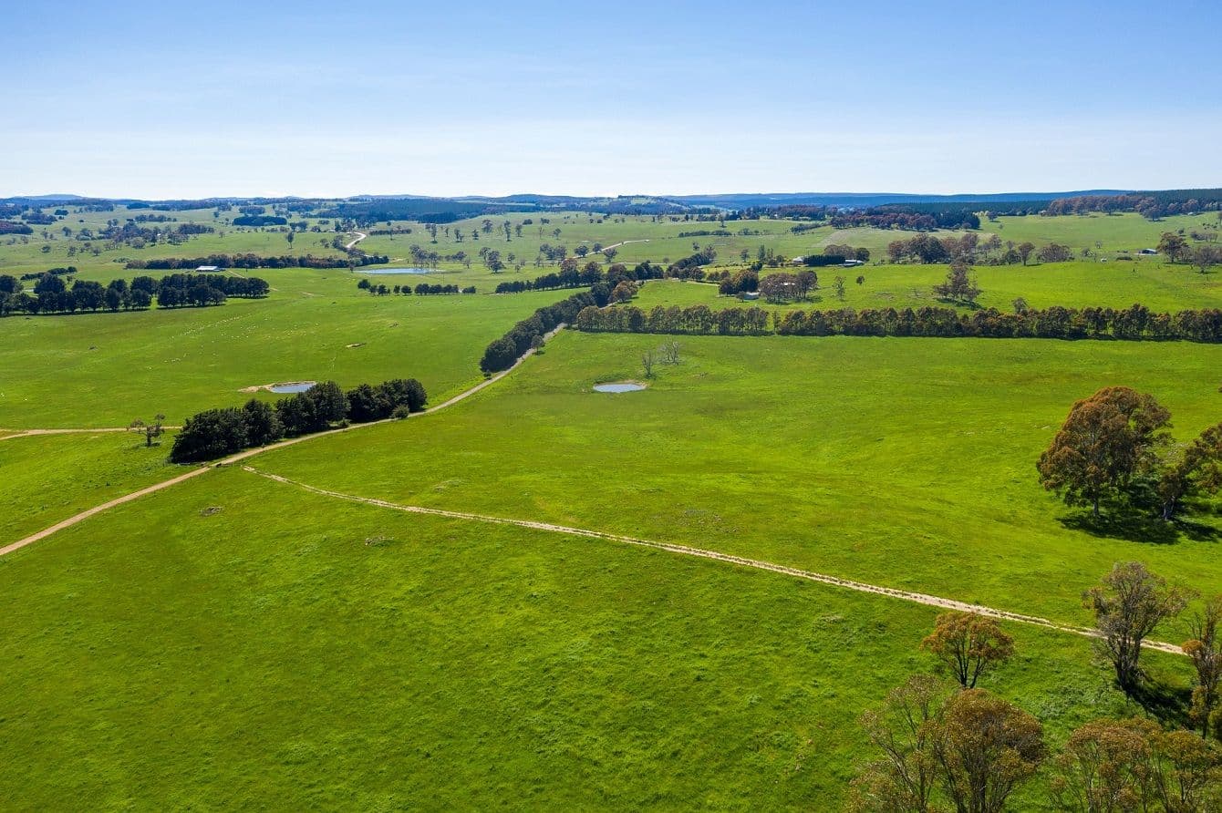 1696 Abercrombie Road, Black Springs NSW 2787, Black Springs - Thumbnail 5