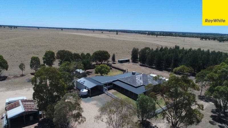 Argyle Downs 44 Woodford Road, BRUIE PLAINS NSW 2875, Bruie Plains - Image 1