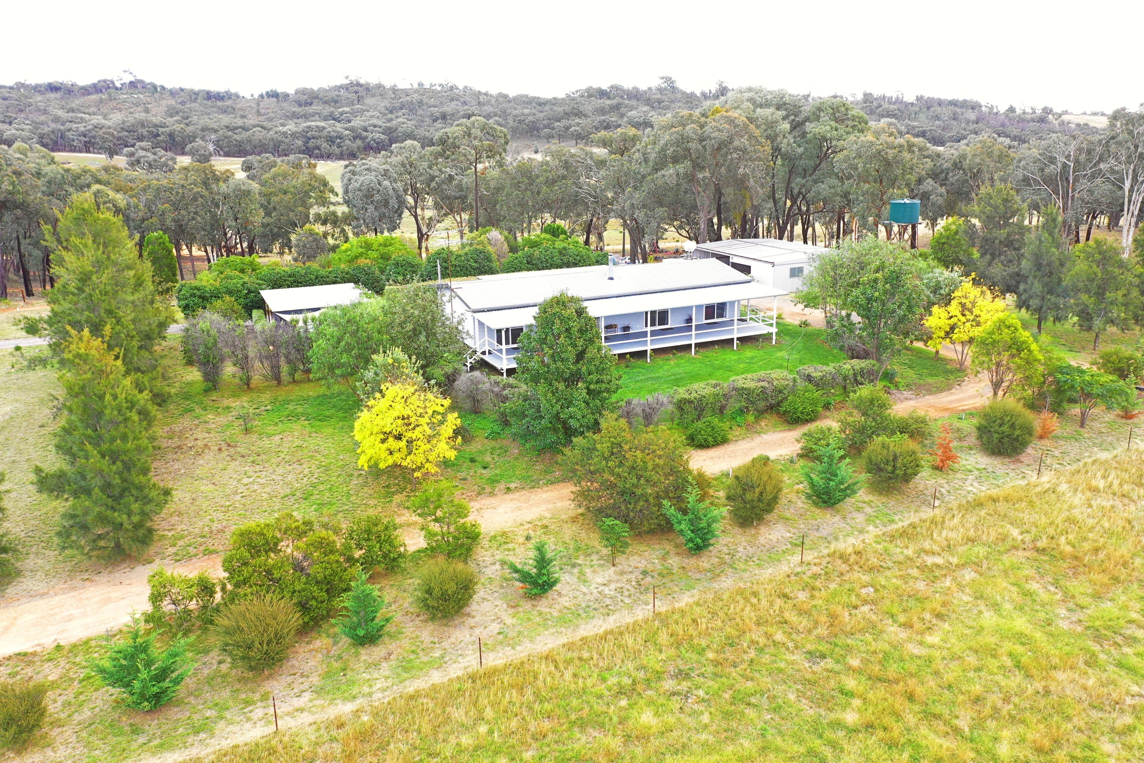 831 Taylors Flat Road, Boorowa NSW 2586, Boorowa - Thumbnail 3