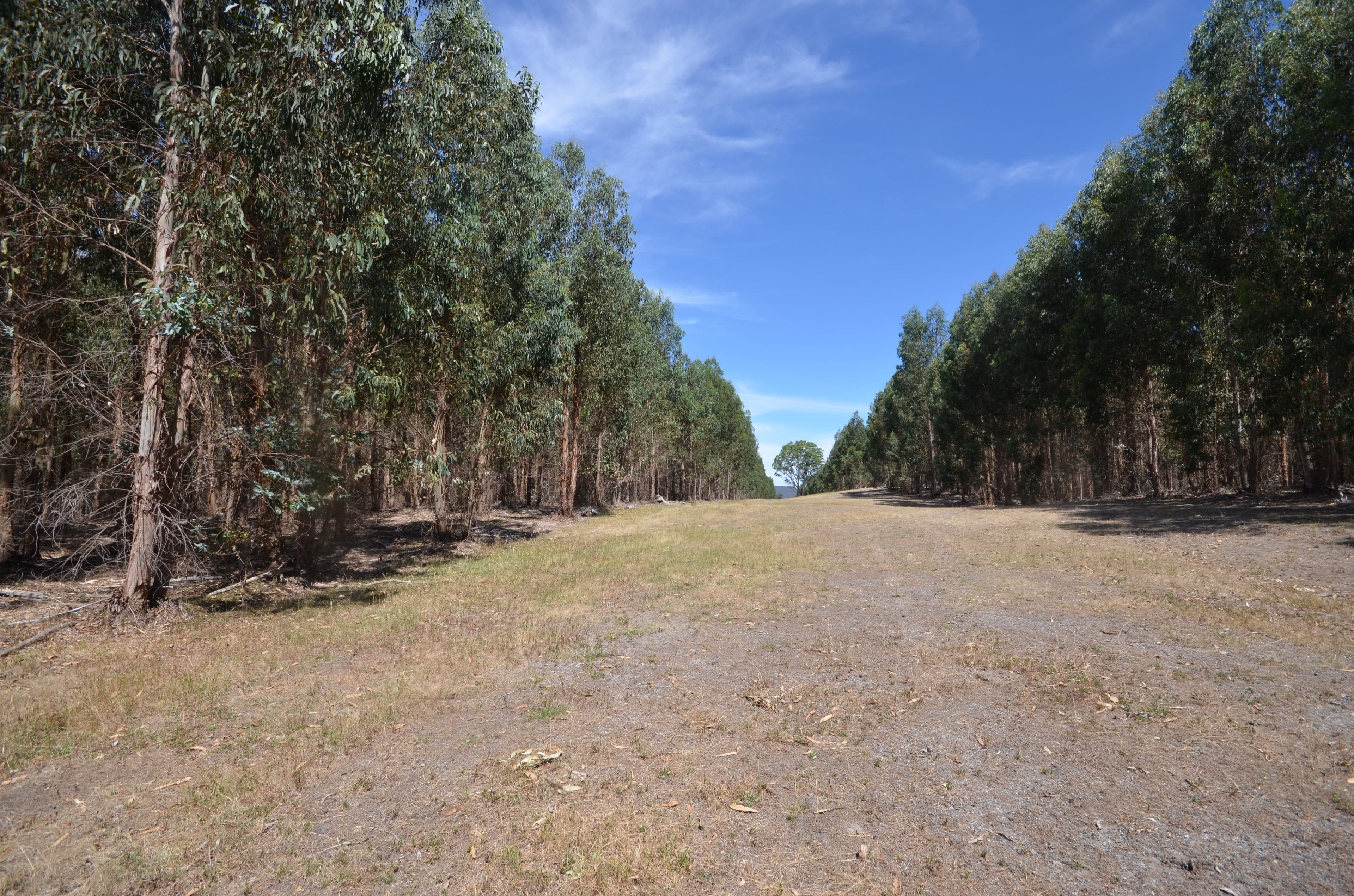 Glenlogie VIC 3469, Glenlogie - Thumbnail 4
