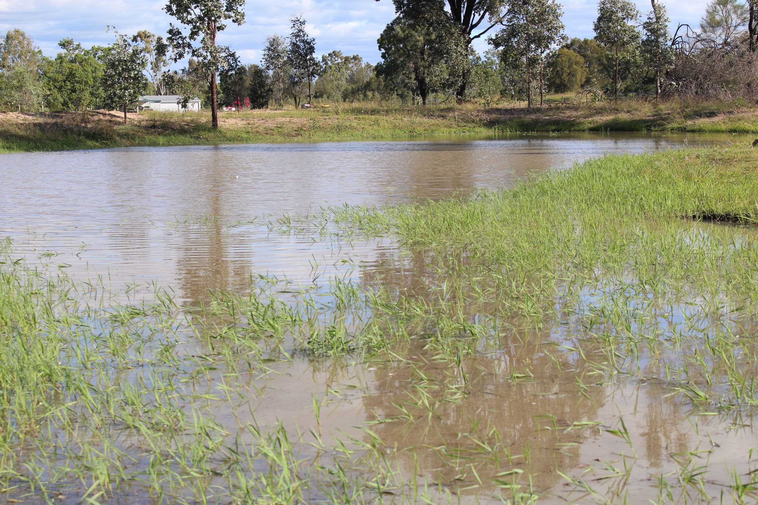 9 Markai Road, Lockyer Waters QLD 4311, Lockyer Waters - Thumbnail 4