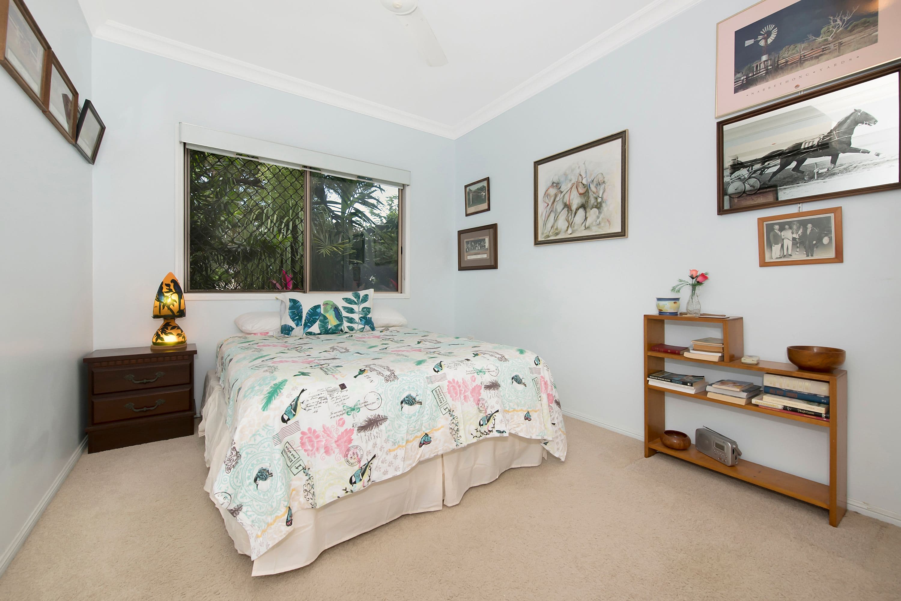 25 Minehane Street, Cluden QLD 4811, Cluden - Thumbnail 6