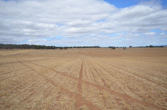 "NJ's" Tarnma Road, MARRABEL SA 5413, Marrabel - Thumbnail 6