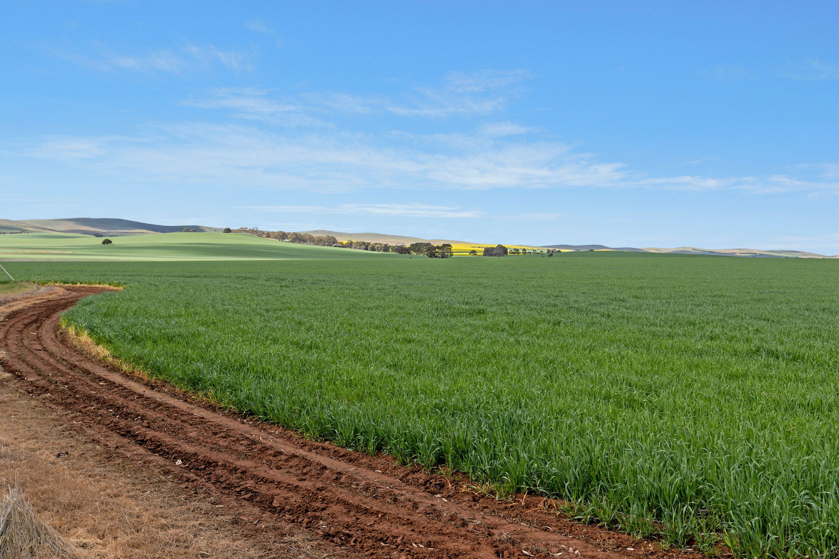 'Woodlands Brae' 390 Hilltown Road, Hill River SA 5453, Hill River - Thumbnail 2