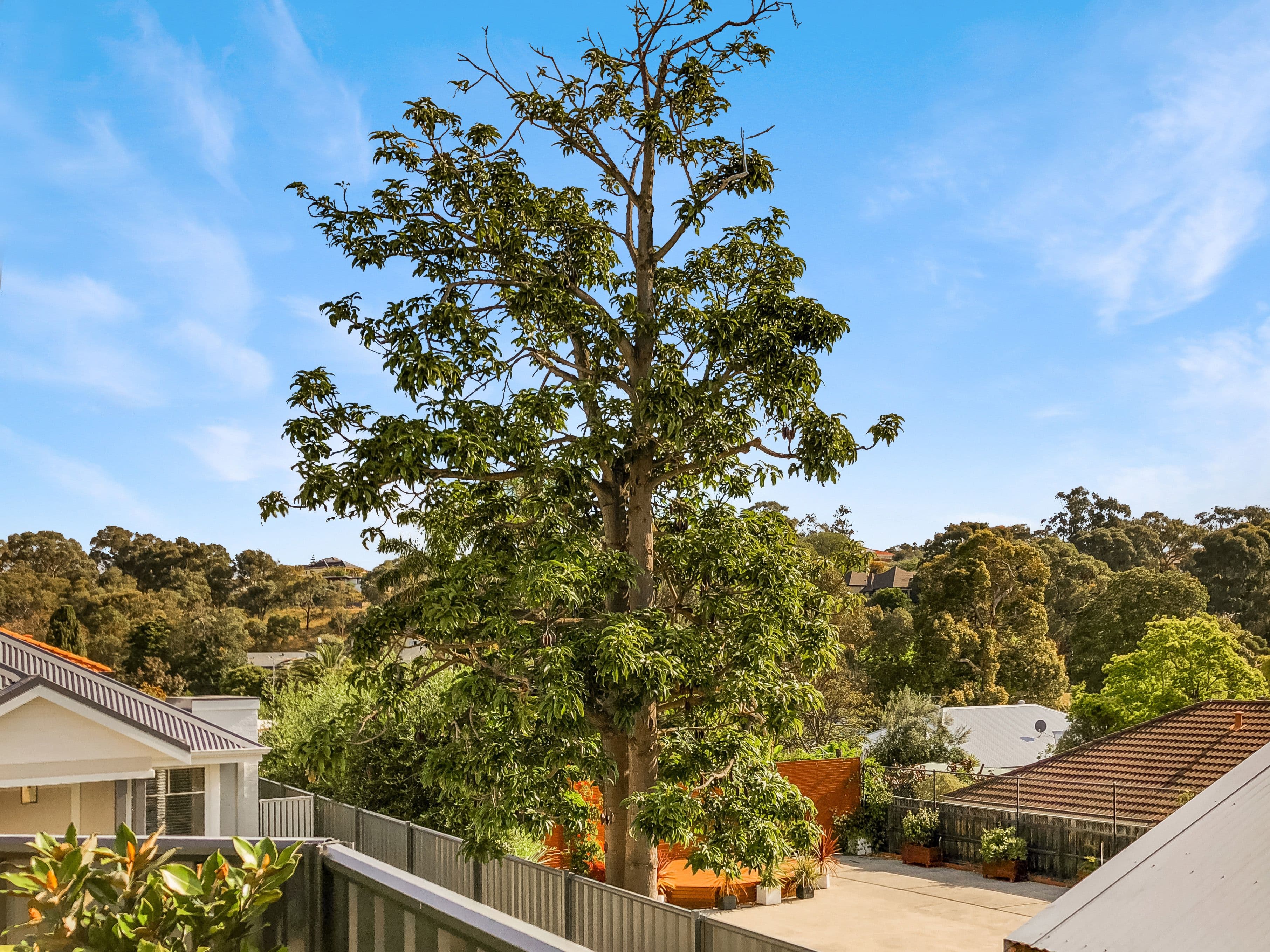 27A Knight Street, Wembley Downs WA 6019, Wembley Downs - Thumbnail 2
