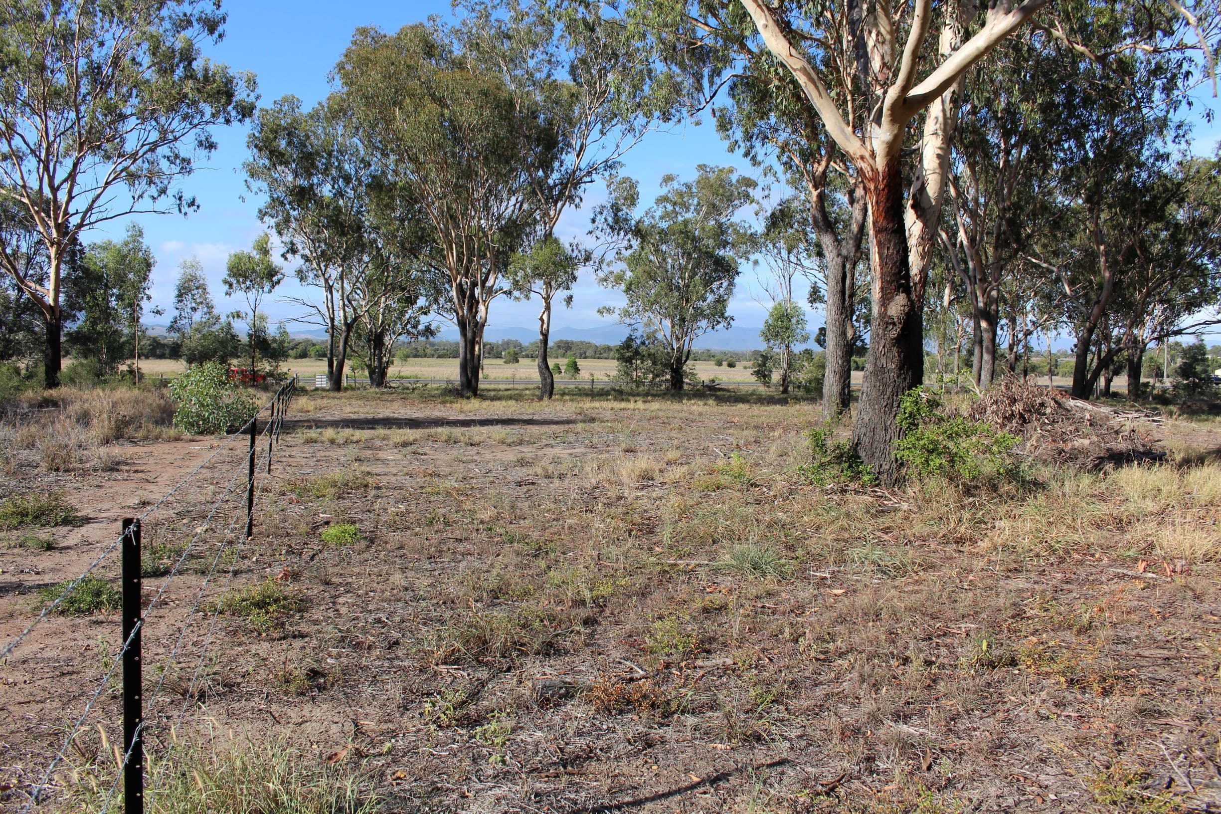Lot 171 Bruce Highway, MARMOR QLD 4702, Marmor - Thumbnail 8