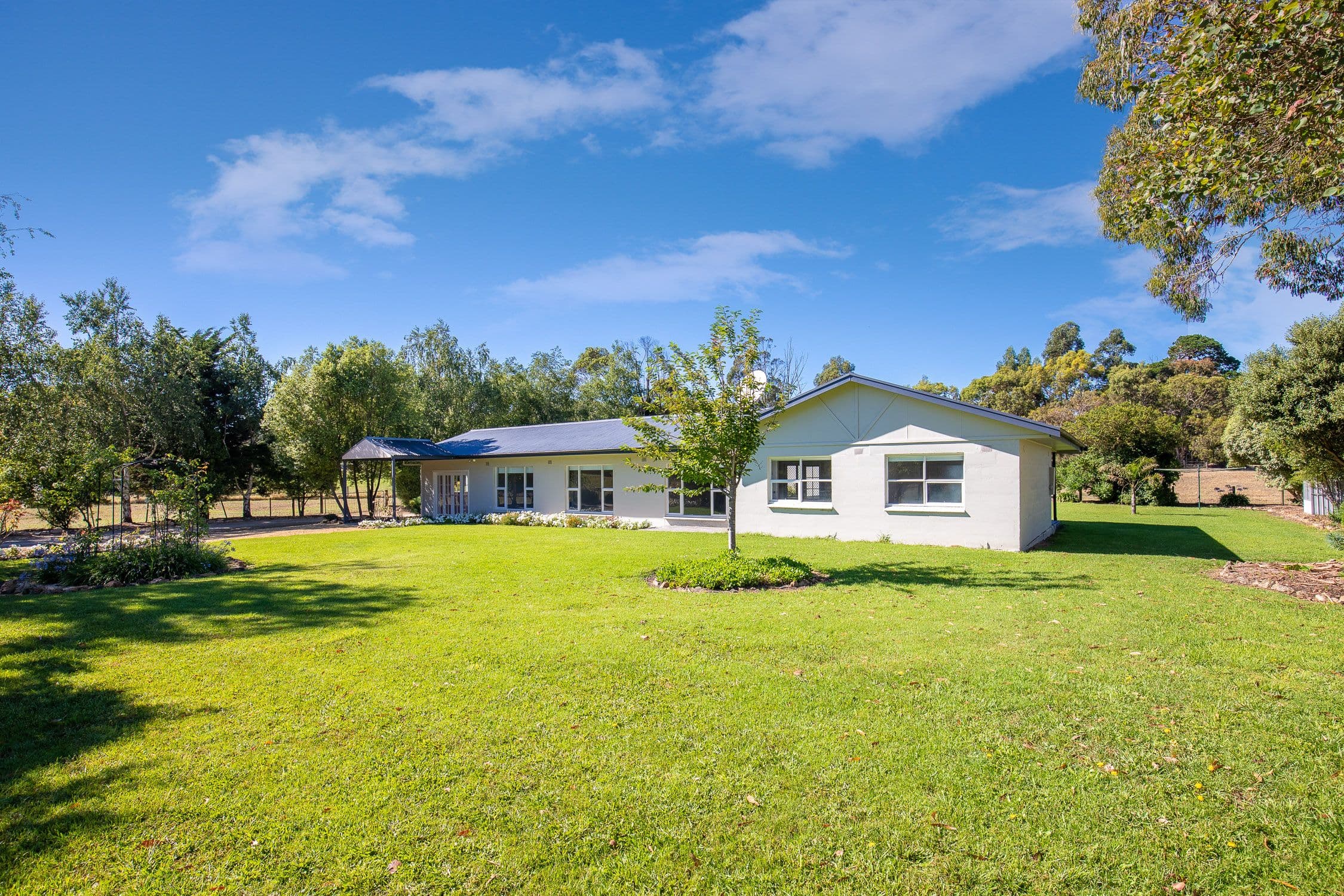 536 Buchanan Road, Worrolong SA 5291, Worrolong - Thumbnail 4