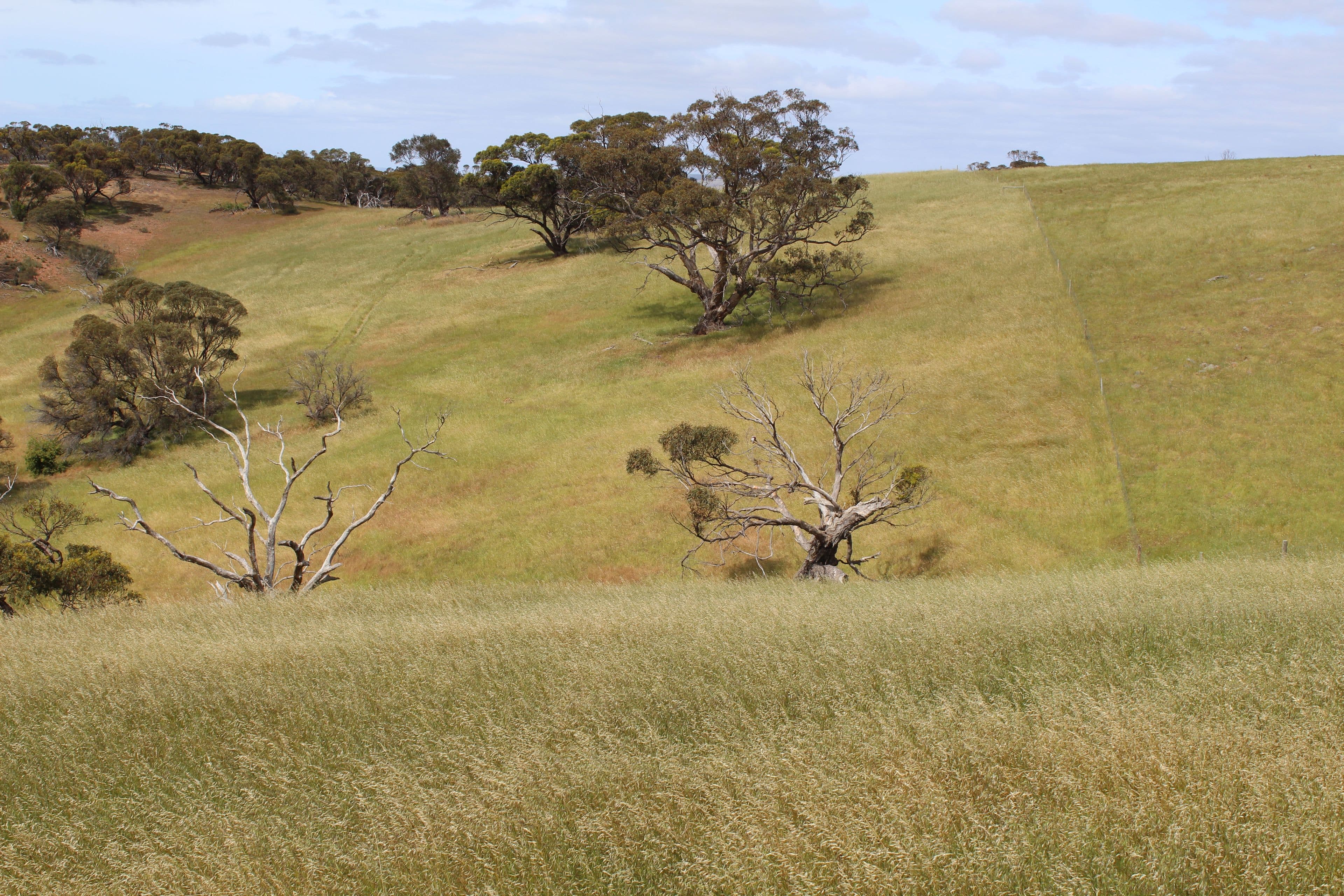 Lot 17 Foothills Road, Tumby Bay SA 5605, Tumby Bay - Thumbnail 6
