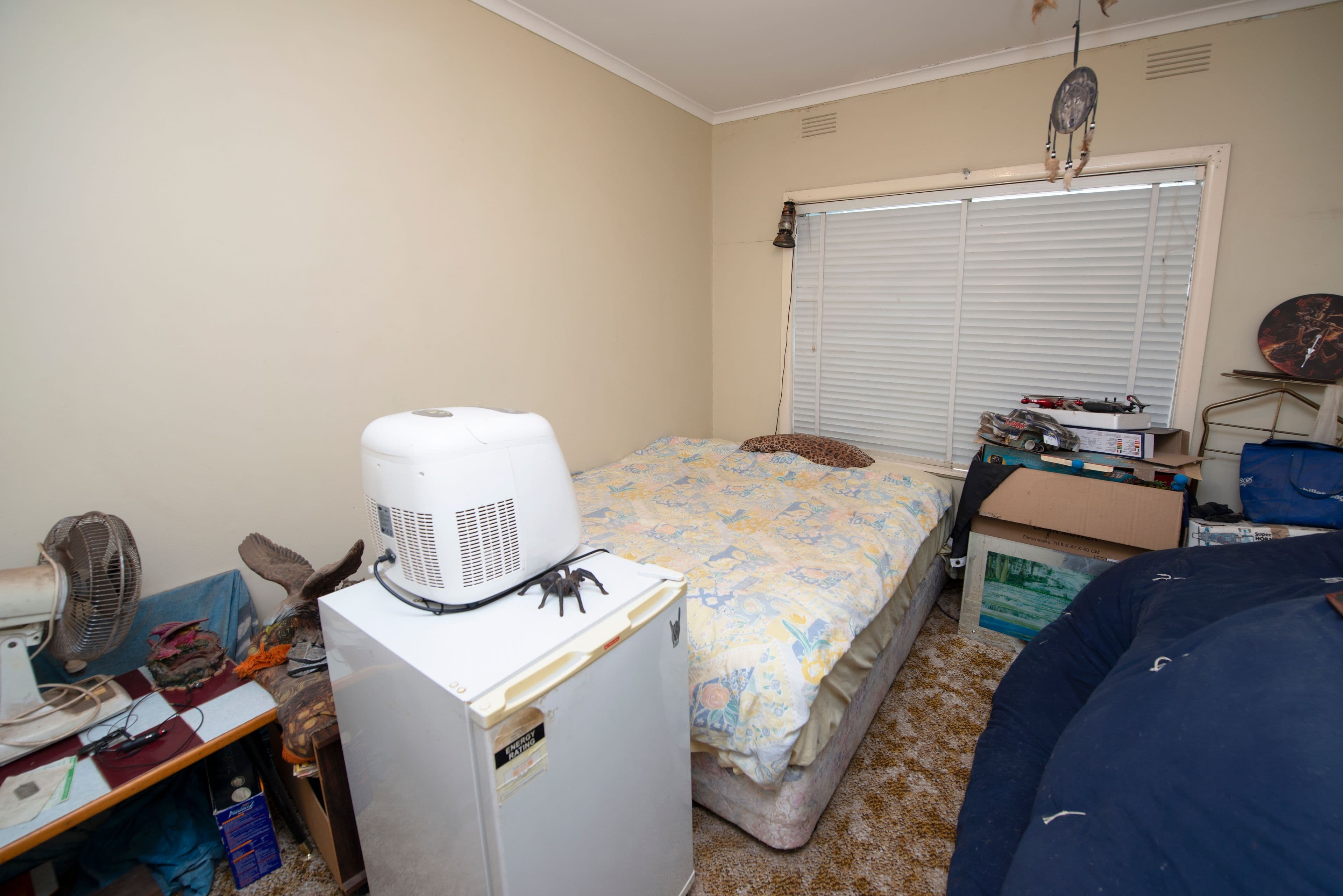75 Murlong Street, Swan Hill VIC 3585, Swan Hill - Thumbnail 8