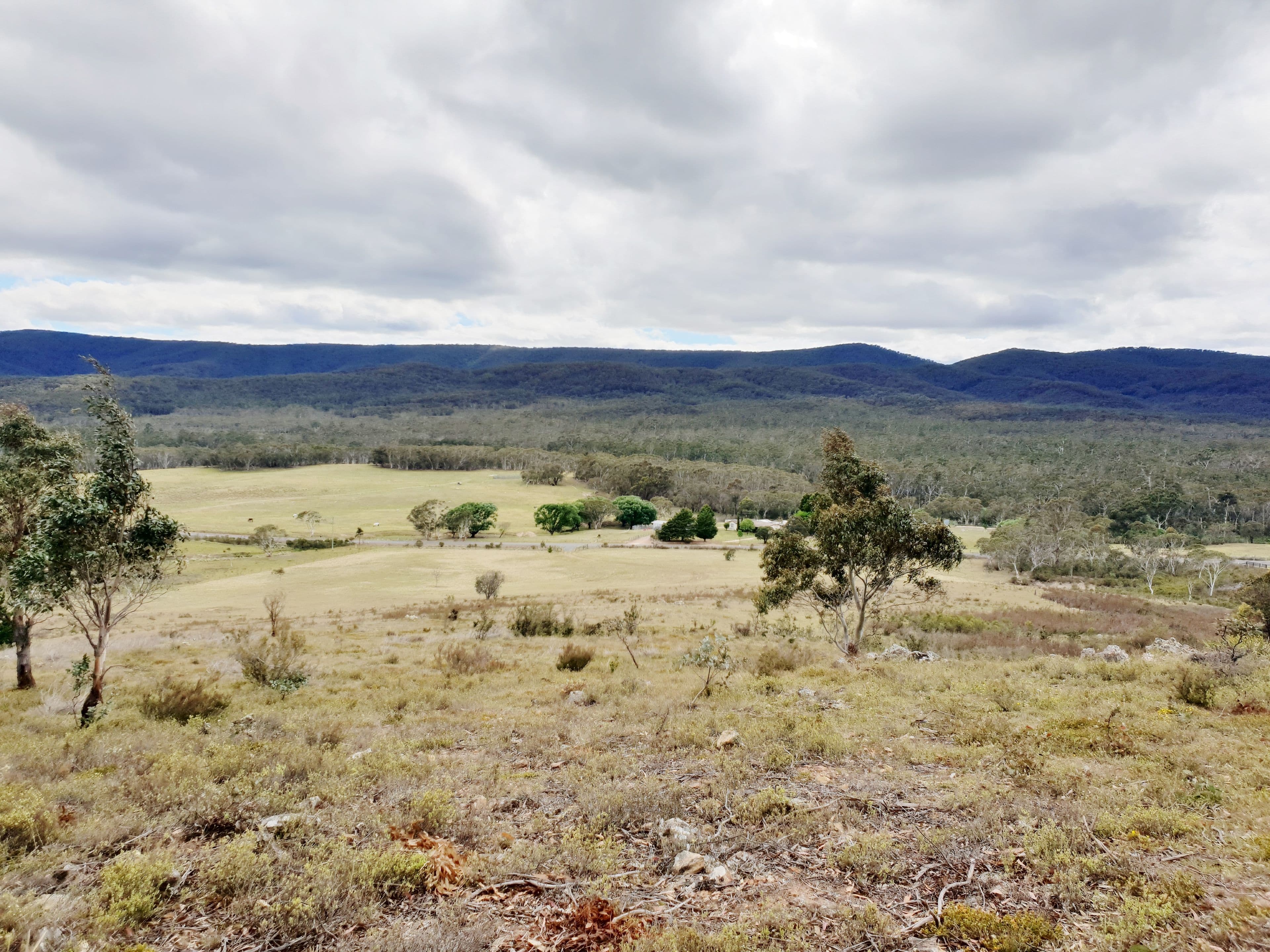 3364 Cooma Road, Braidwood NSW 2622, Braidwood - Image 1