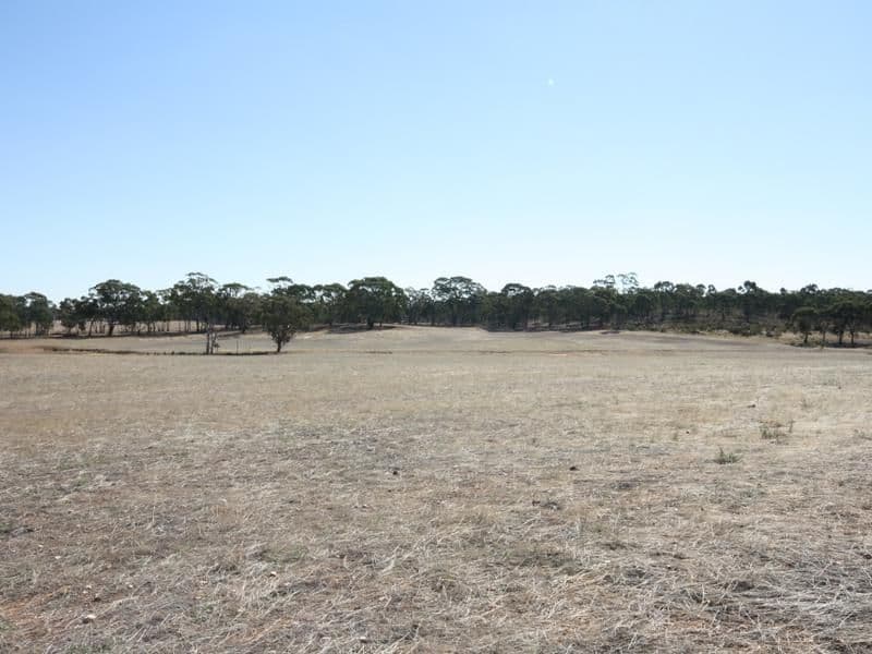 569 Wychitella Road, Wedderburn VIC 3518, Wedderburn - Thumbnail 4