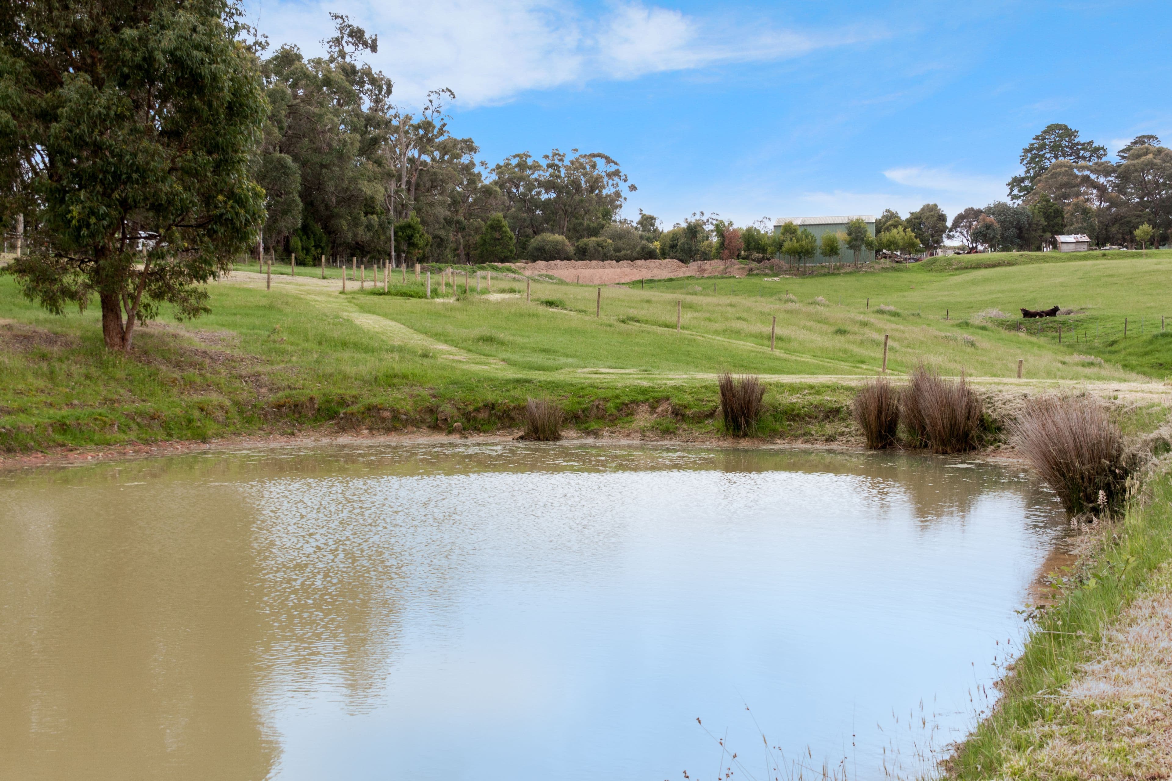 1612 (Lot 2) Willow Grove Road, Willow Grove VIC 3825, Willow Grove - Thumbnail 7