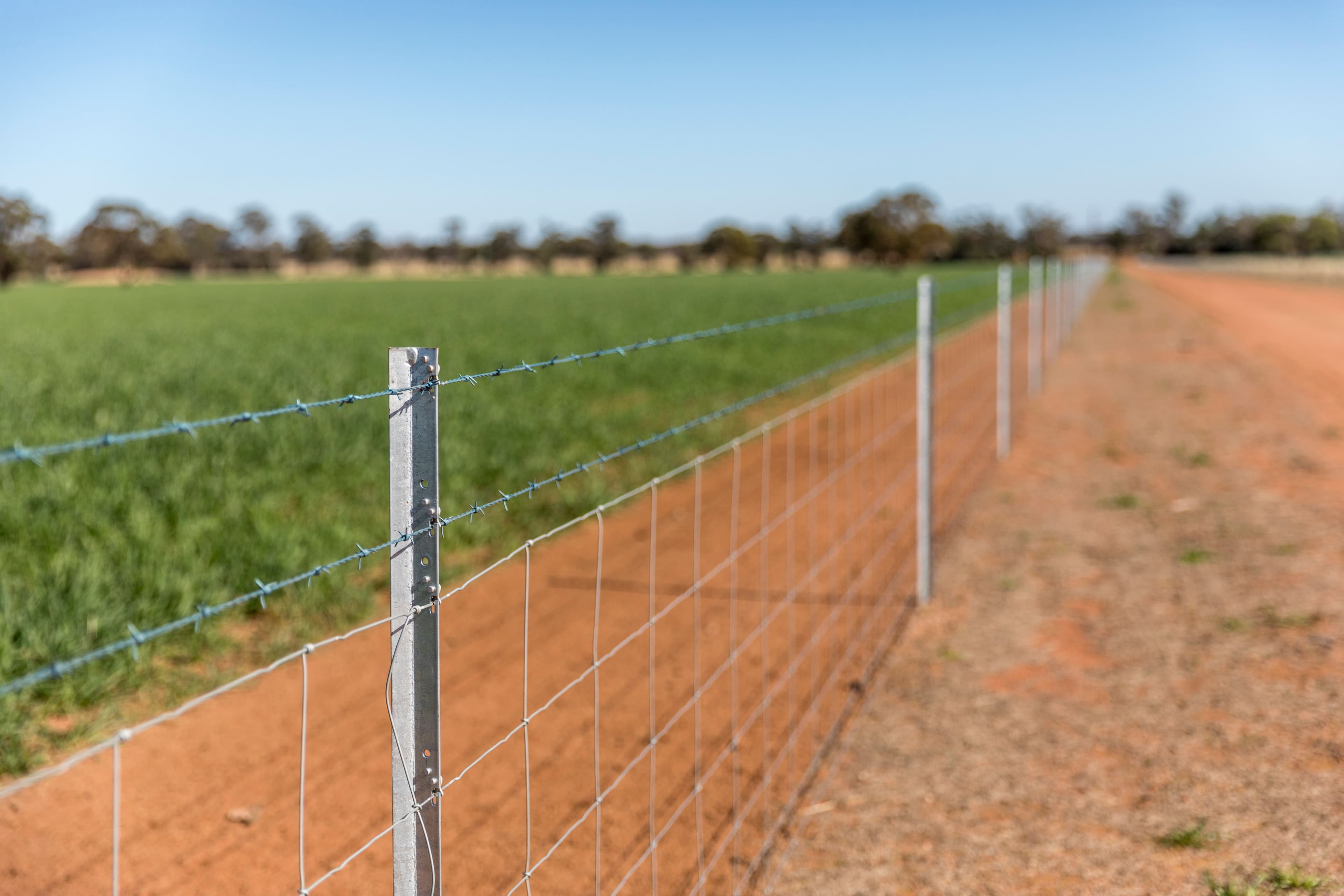 3502 Numalla Road, Peak Hill NSW 2869, Peak Hill - Thumbnail 6