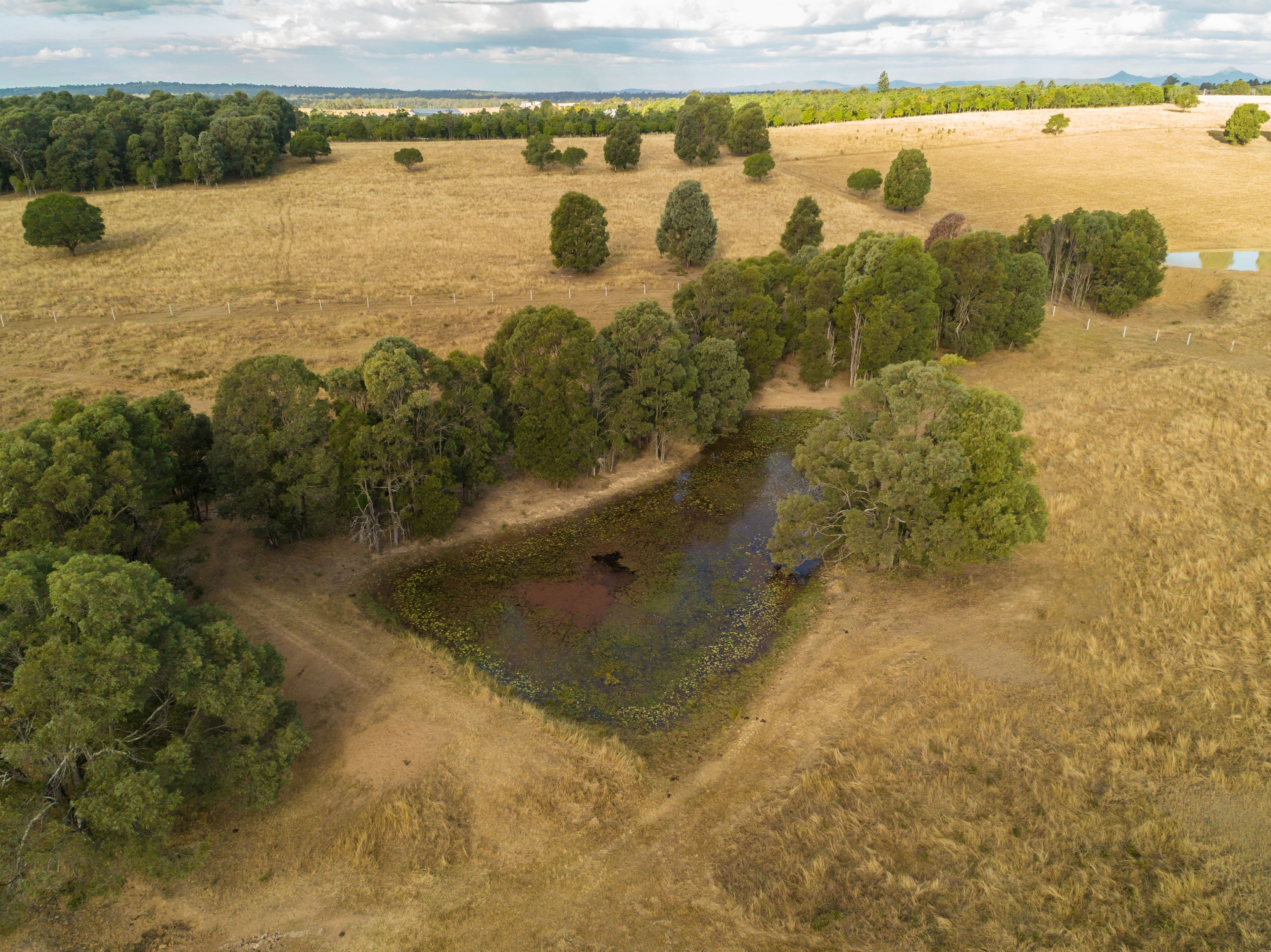 59 Linnings Road, Haigslea QLD 4306, Haigslea - Thumbnail 2