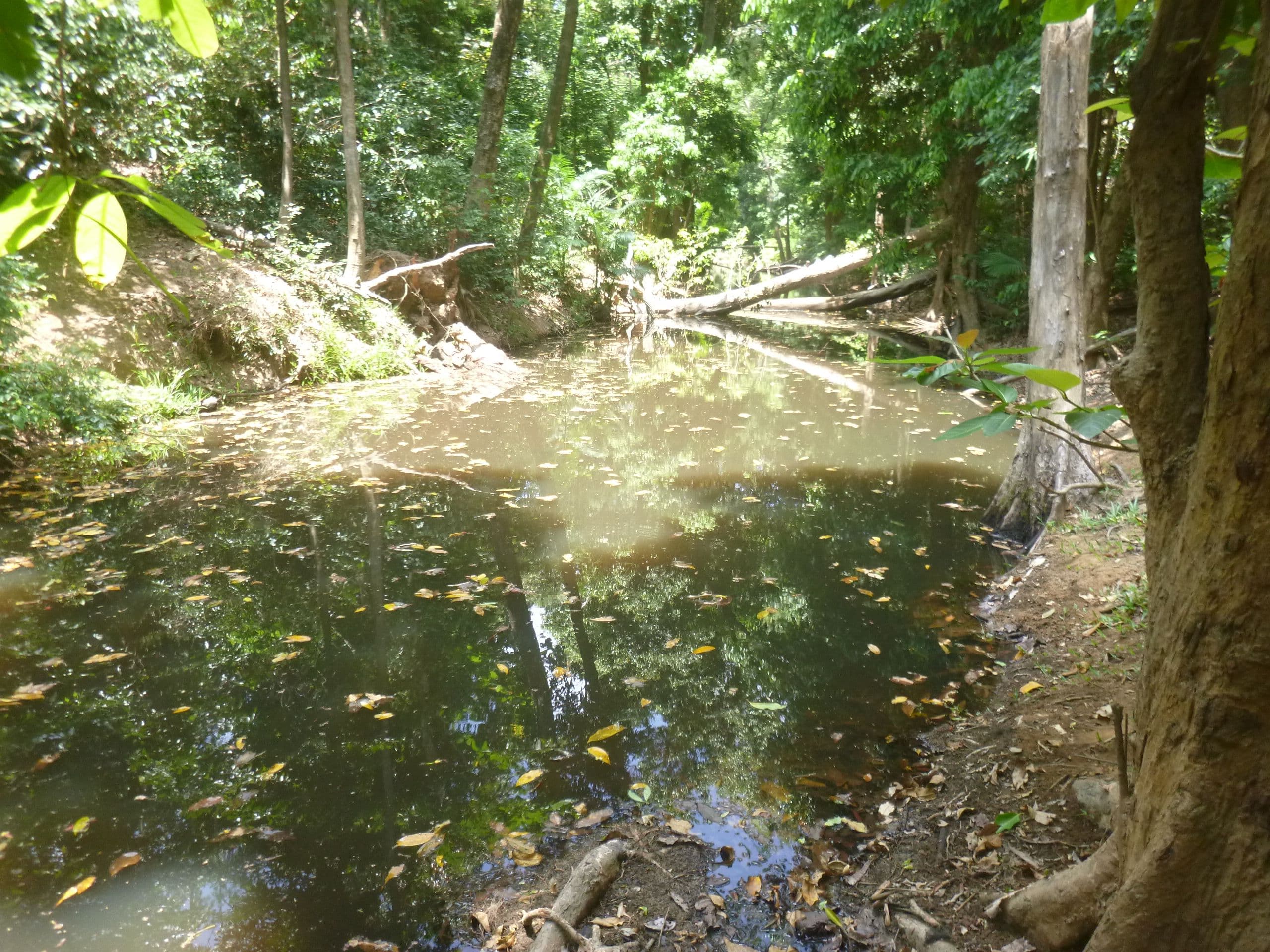 1957 Endeavour Valley Road, Cooktown QLD 4895, Cooktown - Thumbnail 8