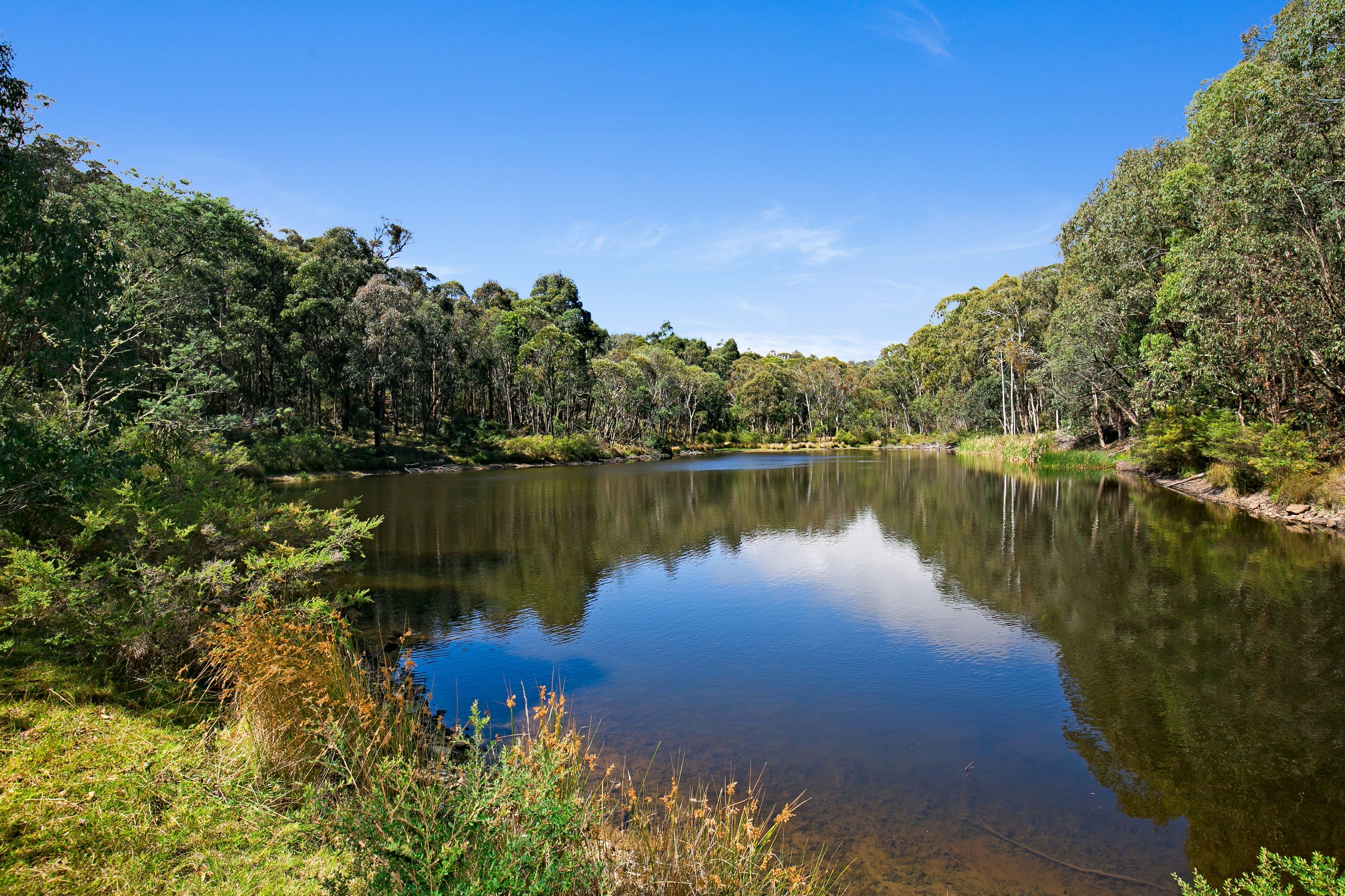 144 Koolkuna Road, Niangala NSW 2354, Niangala - Image 1