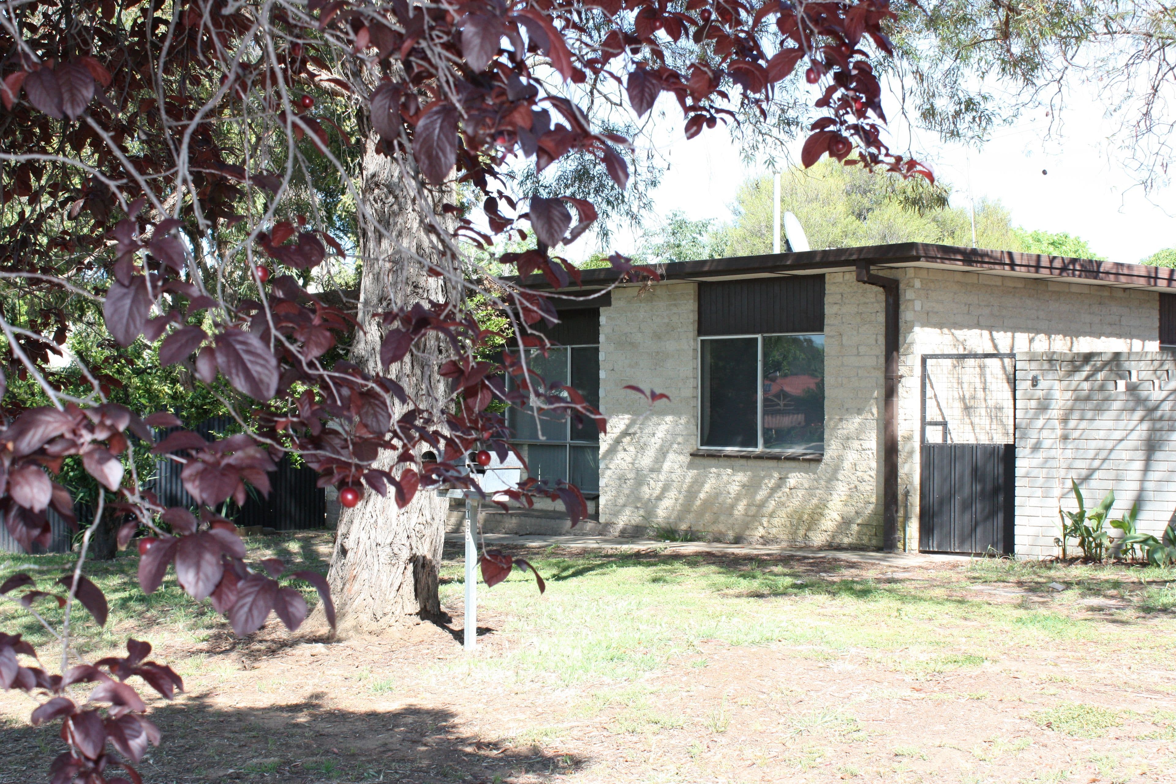 165 Federation Avenue, Corowa NSW 2646, Corowa - Thumbnail 2