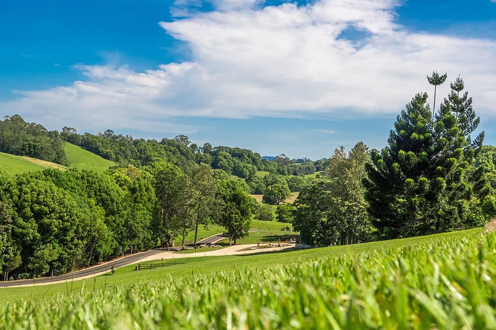 Lot 5, 150 Whian Road, Eureka NSW 2480, Eureka - Image 1