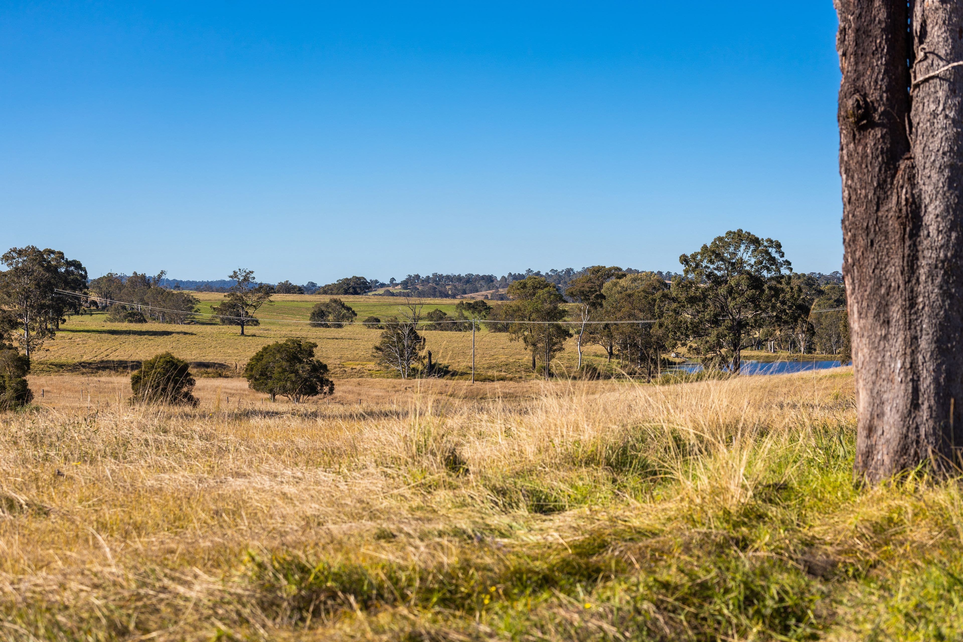 58 Nowendoc Road, Killawarra NSW 2429, Killawarra - Thumbnail 4