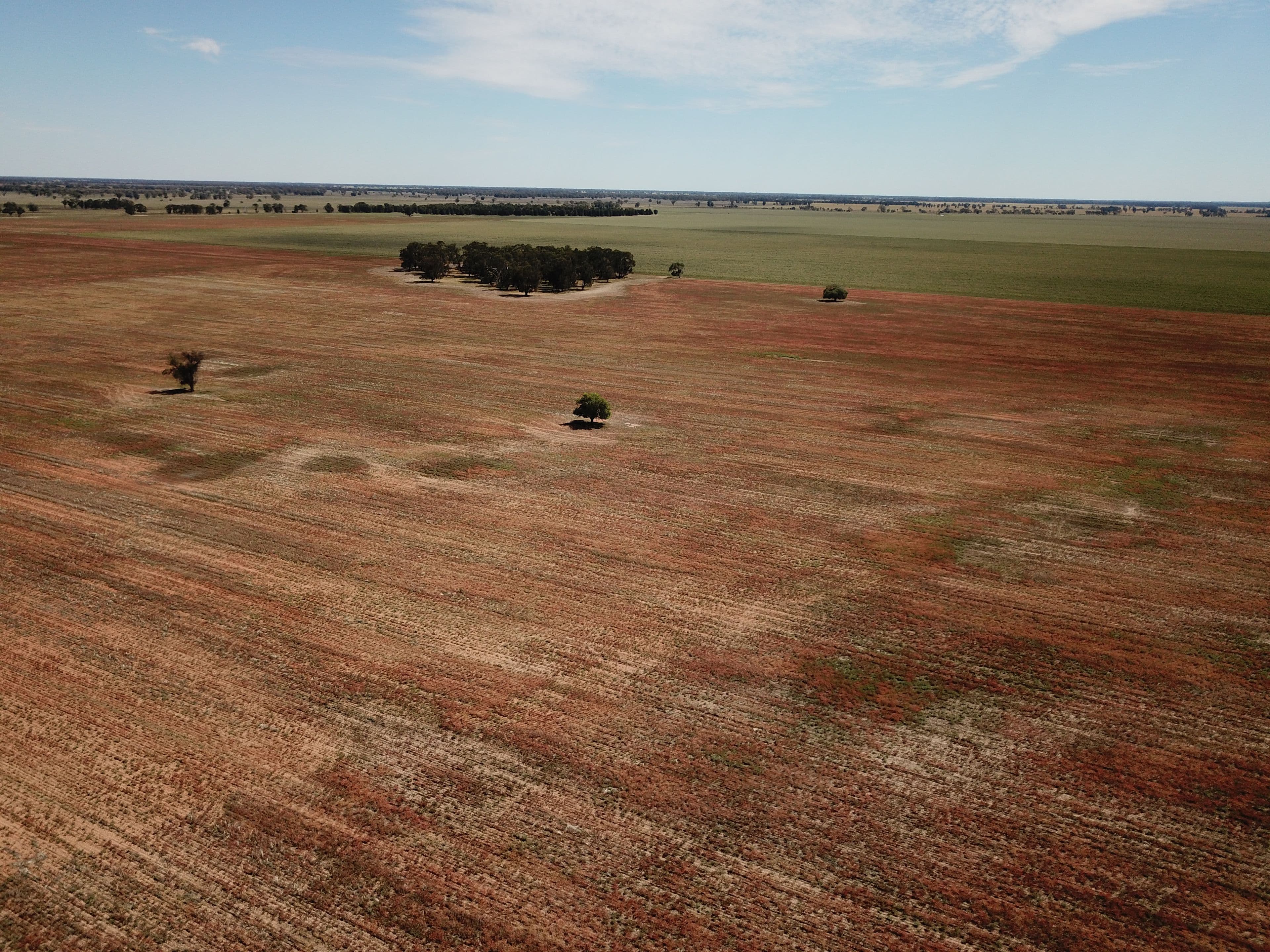 'Glengarry' Wyanga Road, Narromine NSW 2821, Narromine - Thumbnail 8