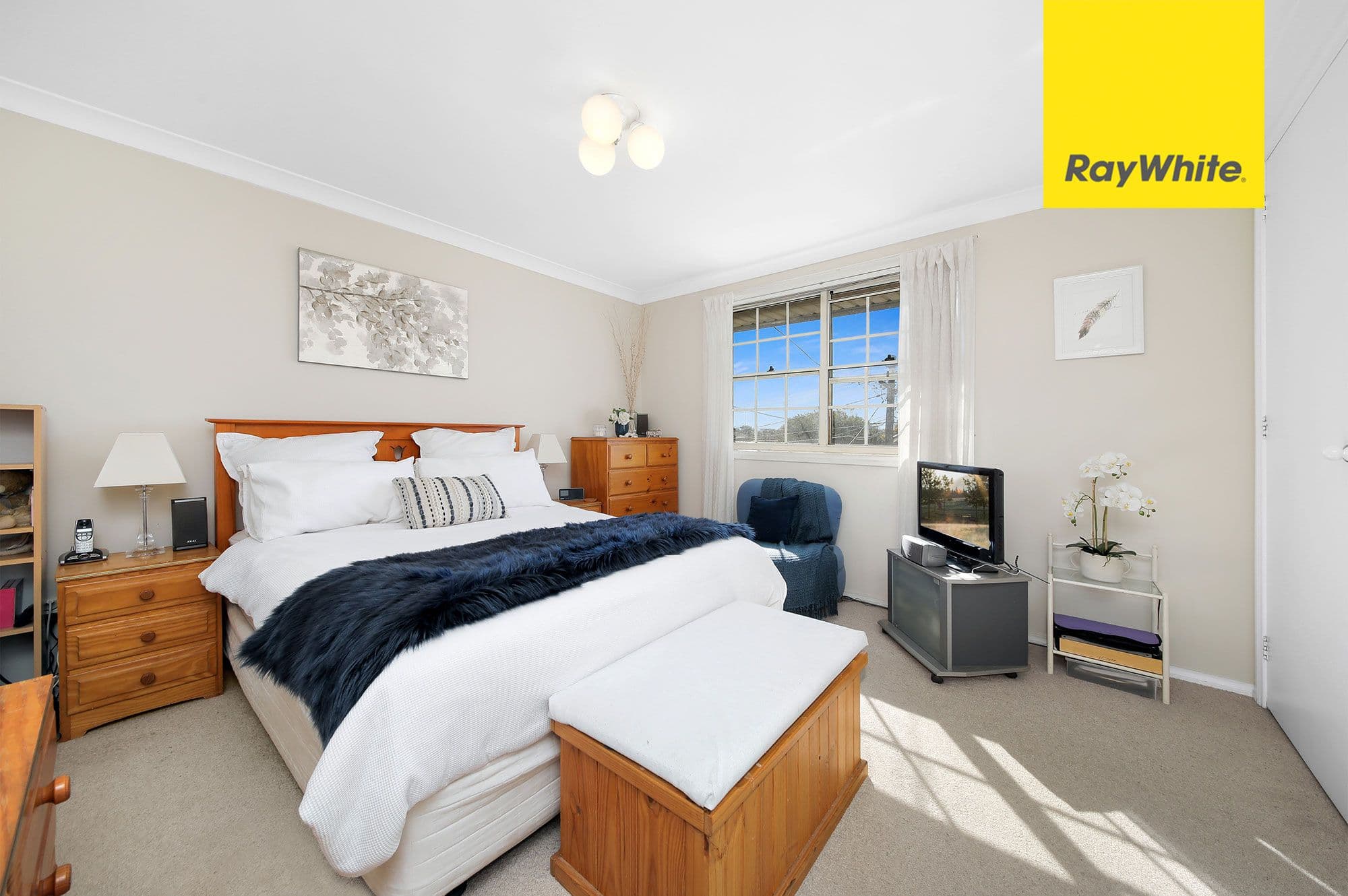 18 D'Arcy Avenue, Lidcombe NSW 2141, Lidcombe - Thumbnail 7