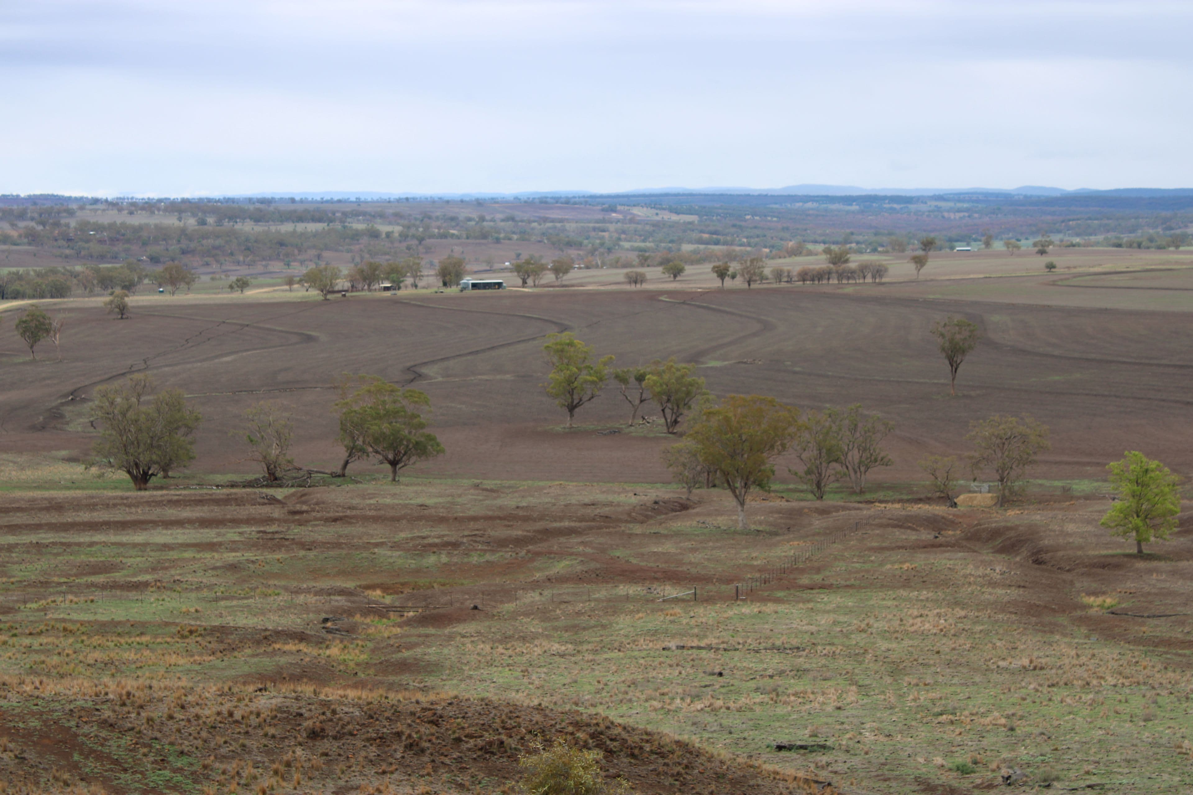 Inverell NSW 2360, Inverell - Image 1