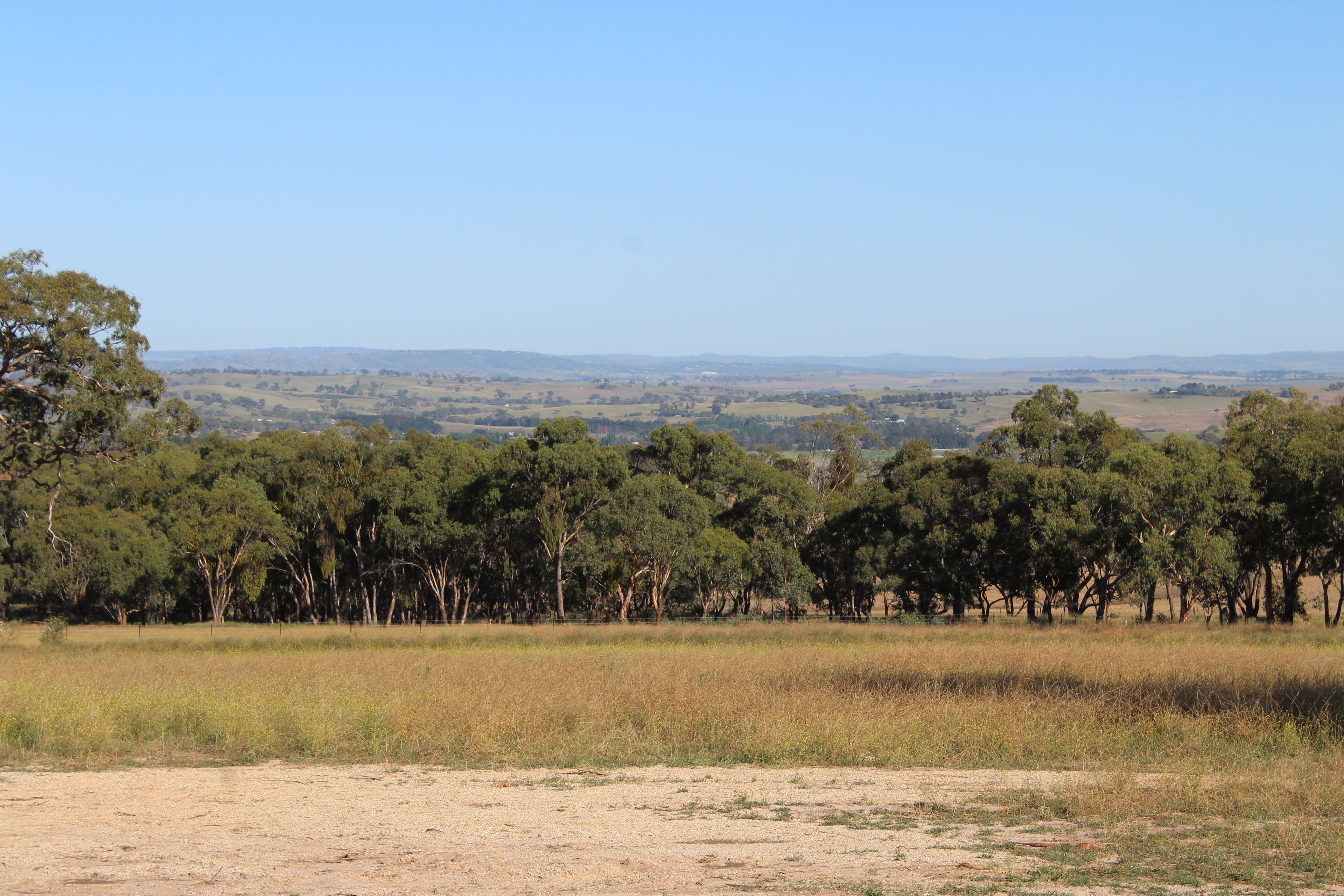 O'Connell NSW 2795, O'Connell - Thumbnail 4