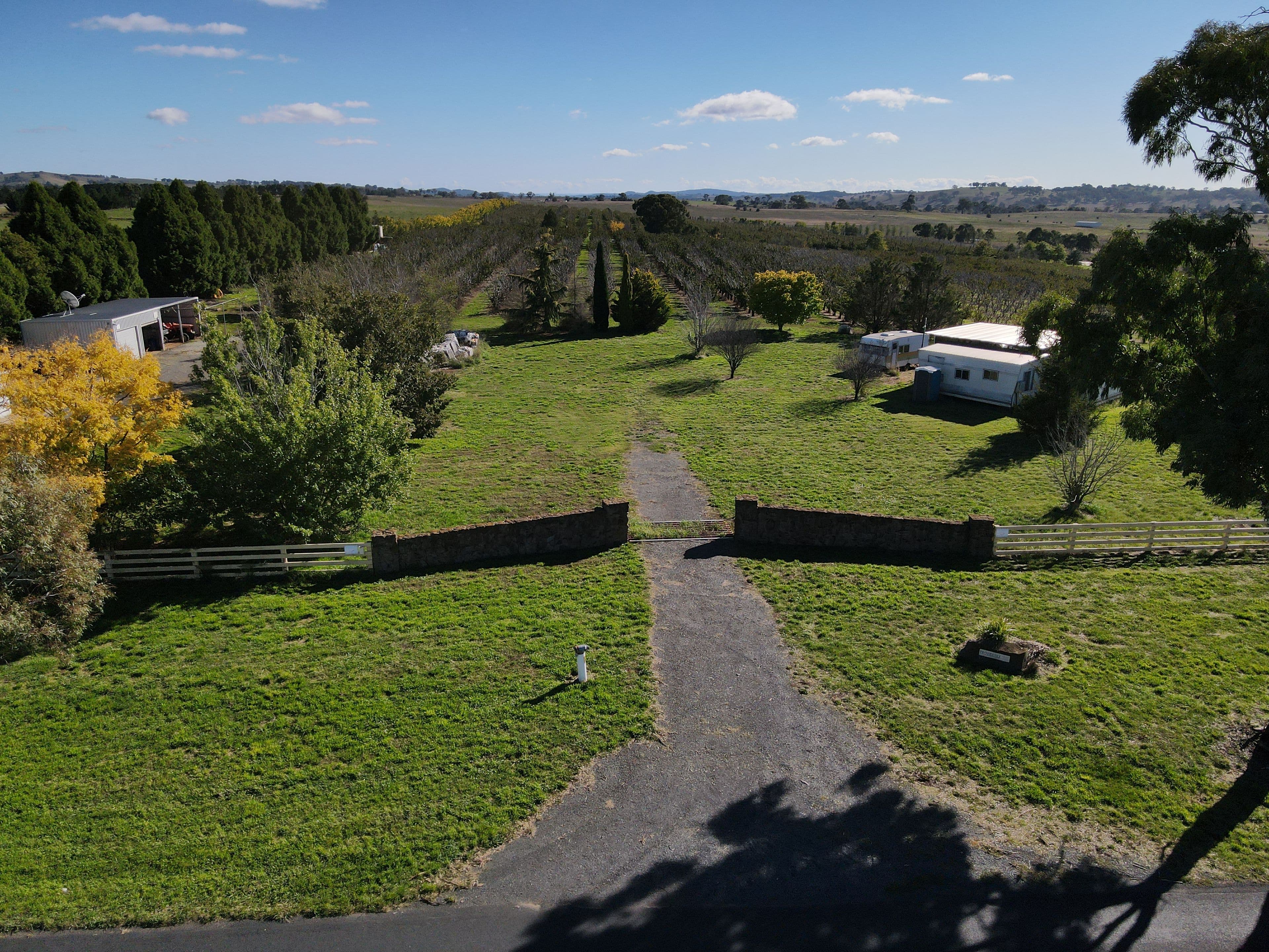 864 Vittoria Road, Guyong NSW 2798, Guyong - Thumbnail 4