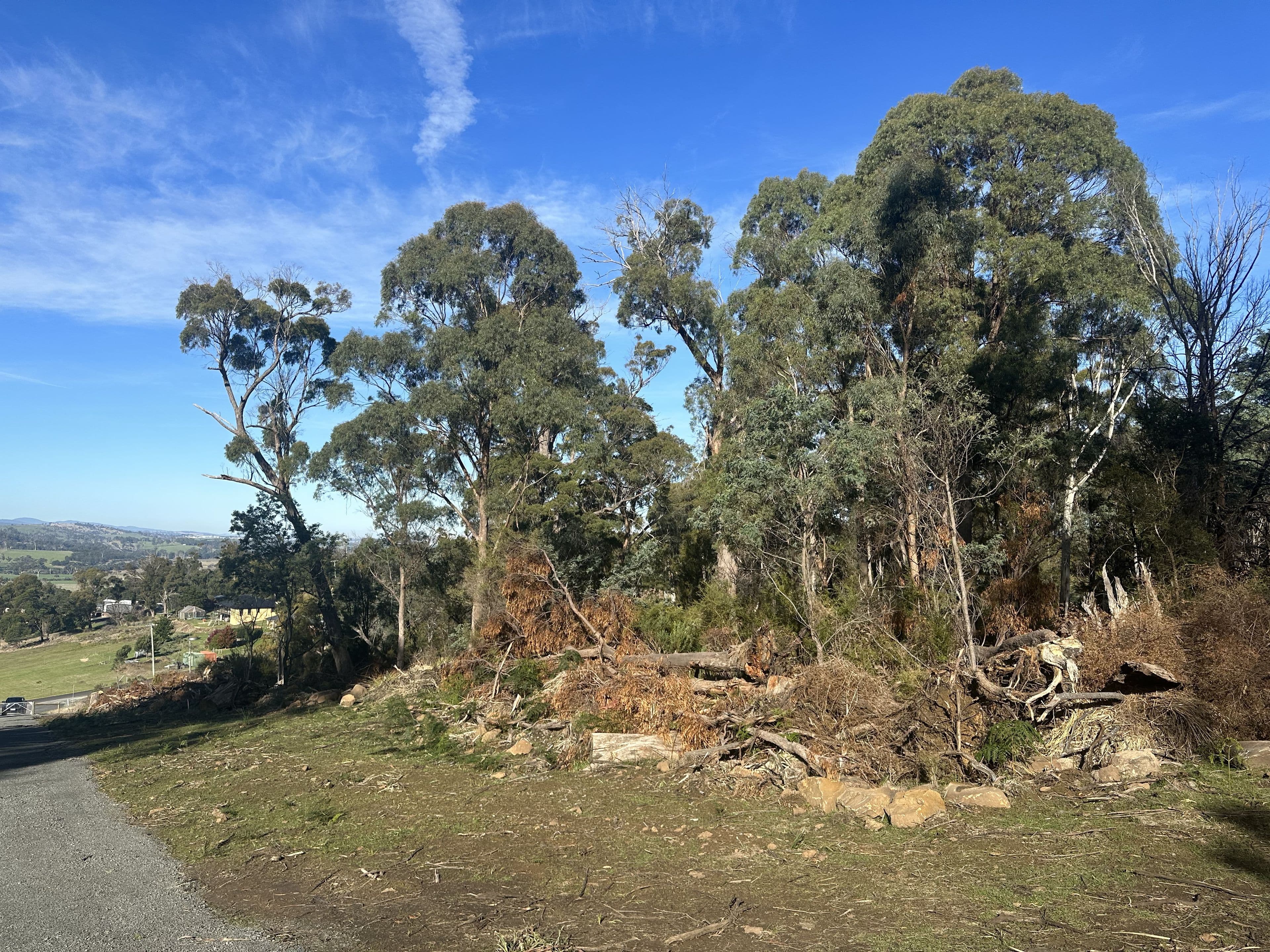 132 Los Angelos Road, Swan Bay TAS 7252, Swan Bay - Thumbnail 5