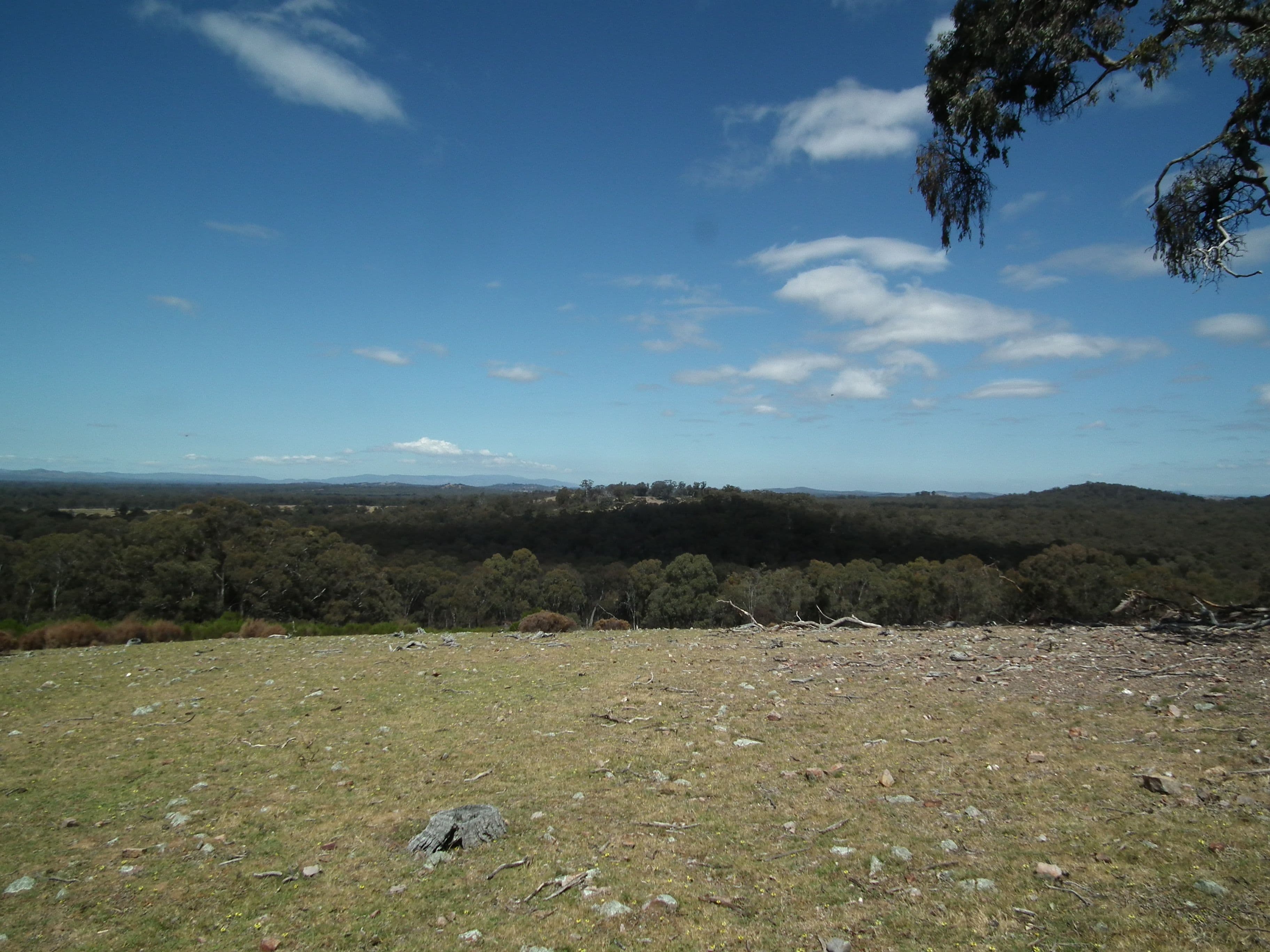 CA 20 and 21 Delaney Road, Nagambie VIC 3608, Nagambie - Thumbnail 6