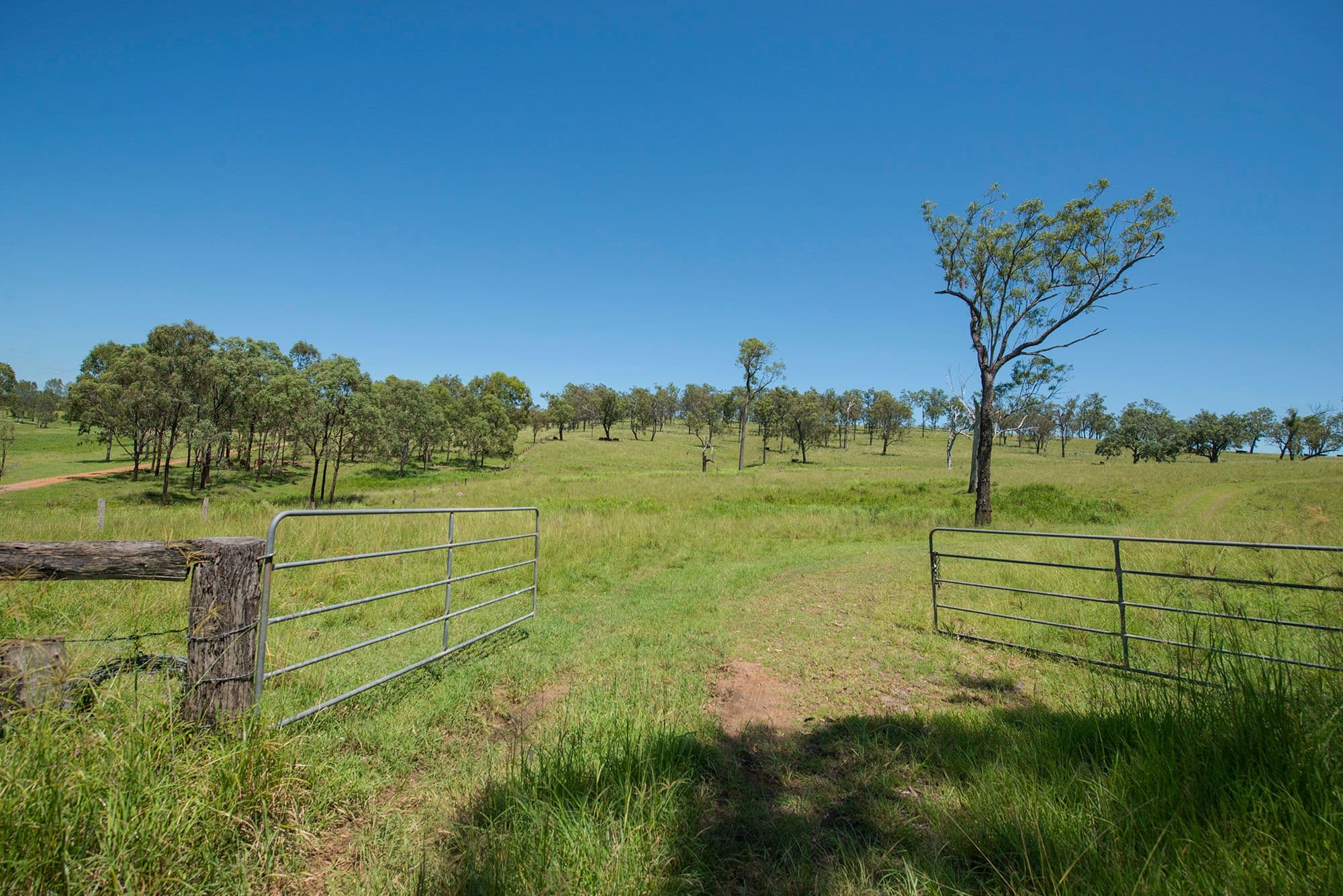 Corner Tralee & Waines Road, MOUNT WALKER WEST QLD 4340, Mount Walker West - Thumbnail 5