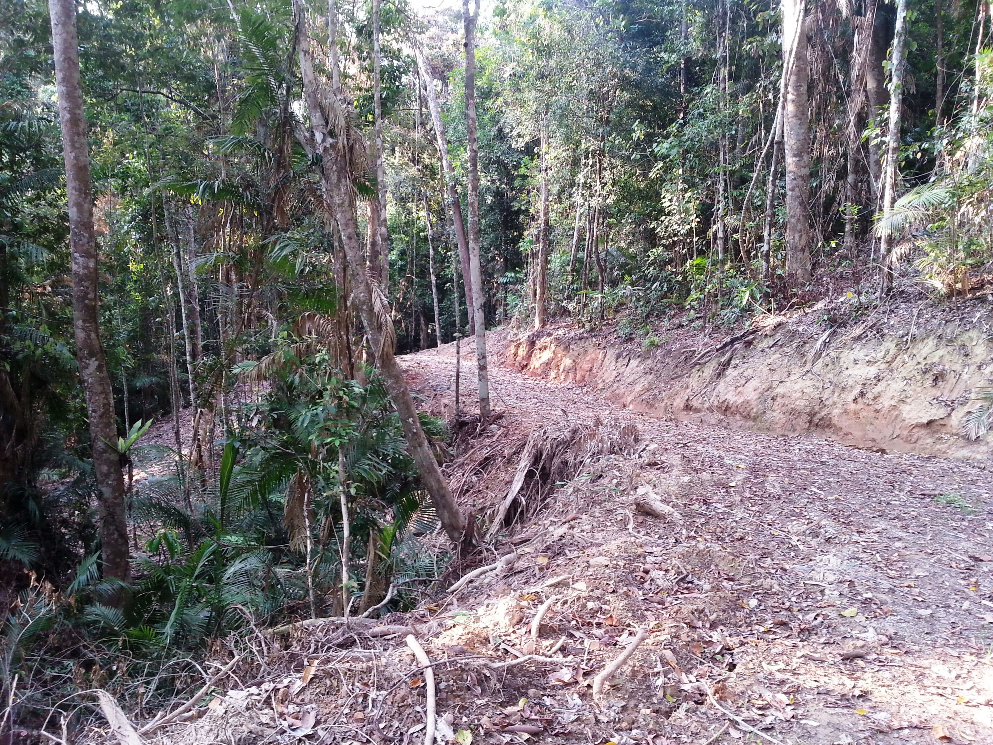 Lot 12 Whipbird Close, Speewah QLD 4881, Speewah - Thumbnail 4