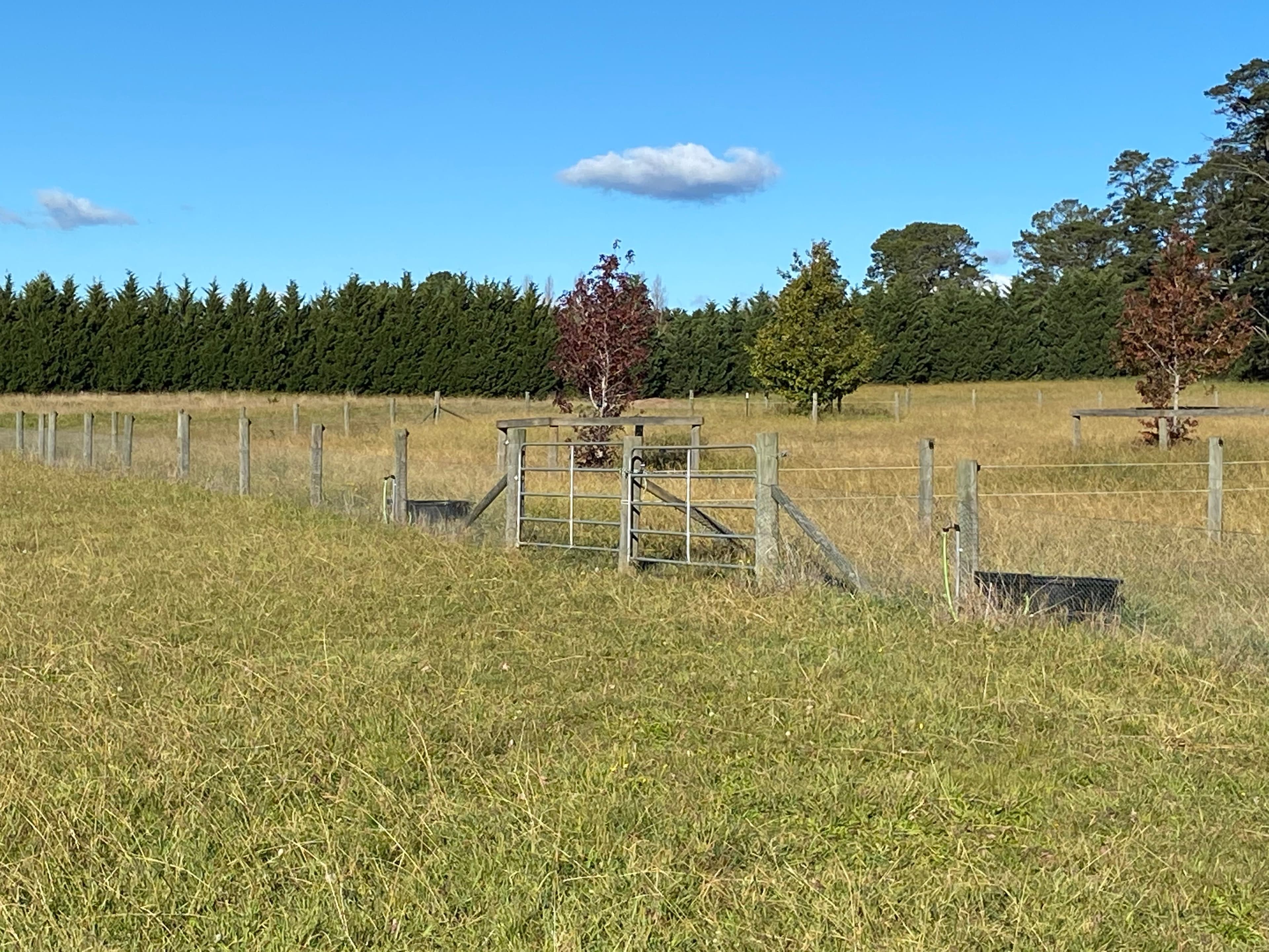236 Bundanoon Road, Exeter NSW 2579, Exeter - Thumbnail 3