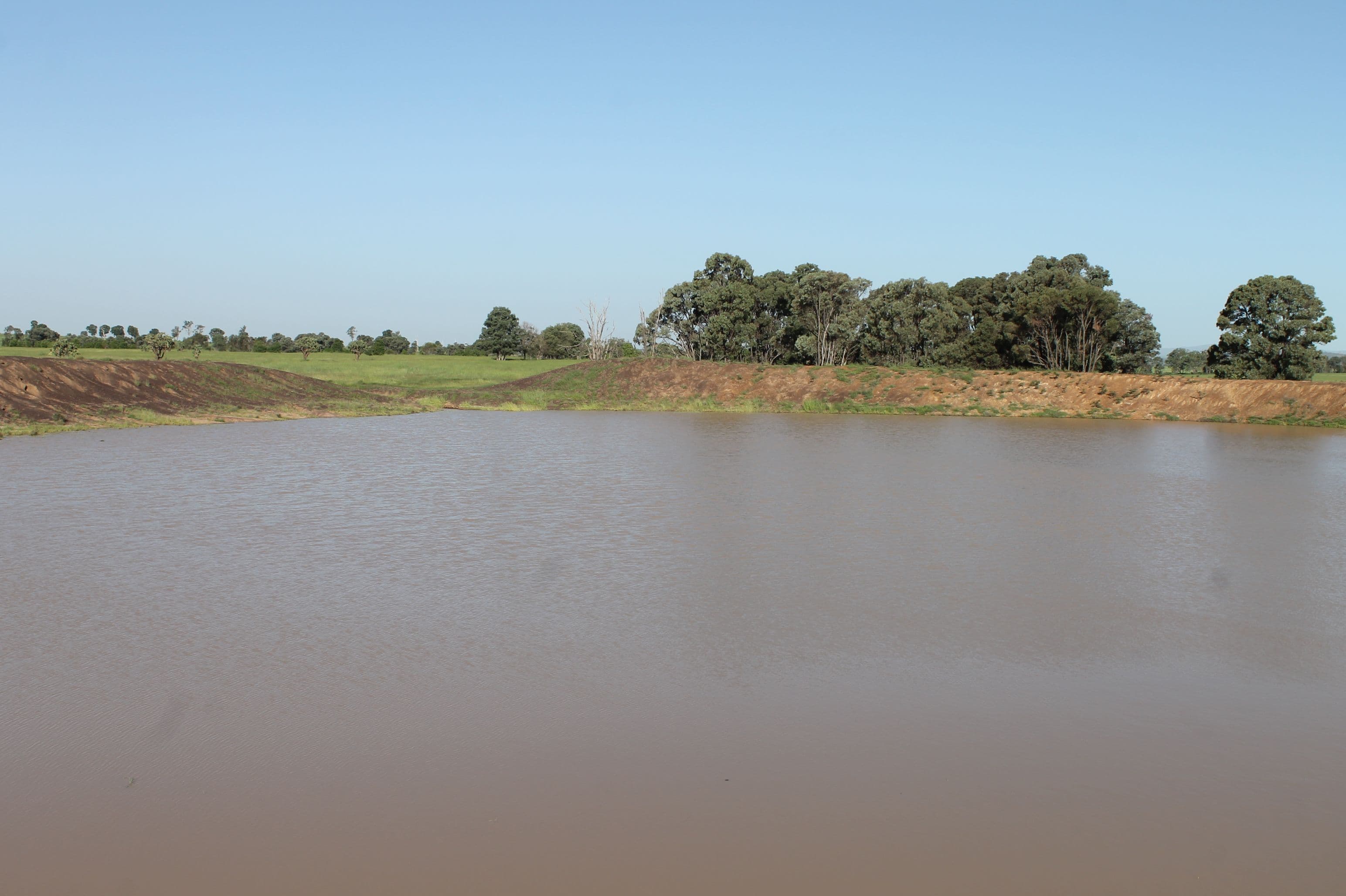 Lot 139 Old Rosevale Road, Jandowae QLD 4410, Jandowae - Thumbnail 2