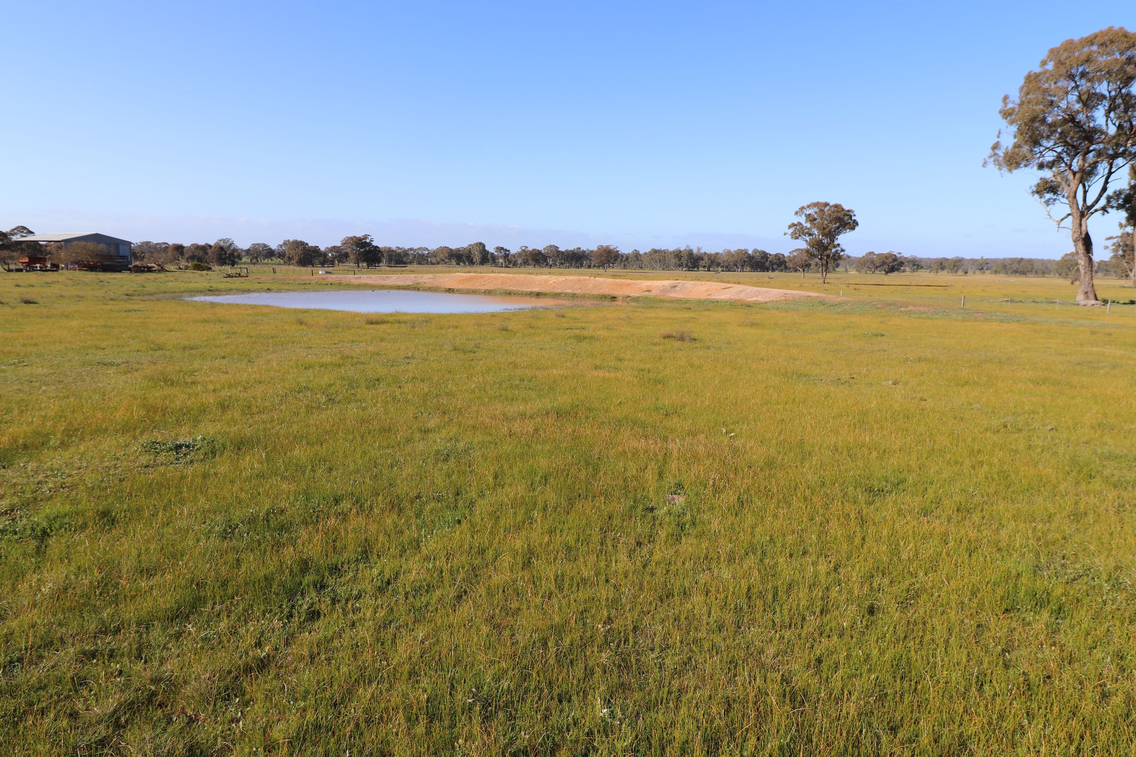195 Camp Road, Murchison VIC 3610, Murchison - Thumbnail 5