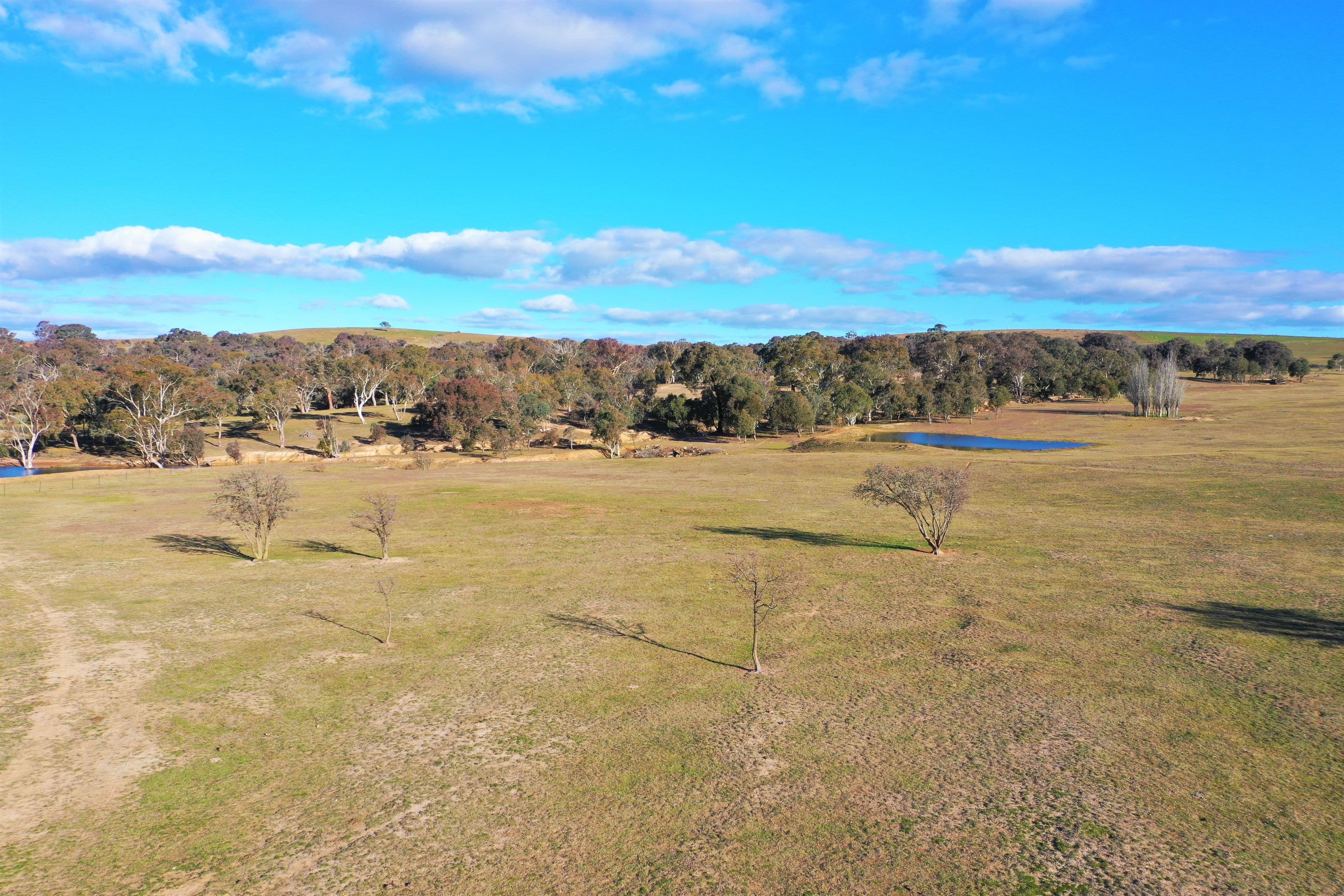 190 Pooleys Lane, Goulburn NSW 2580, Goulburn - Thumbnail 4