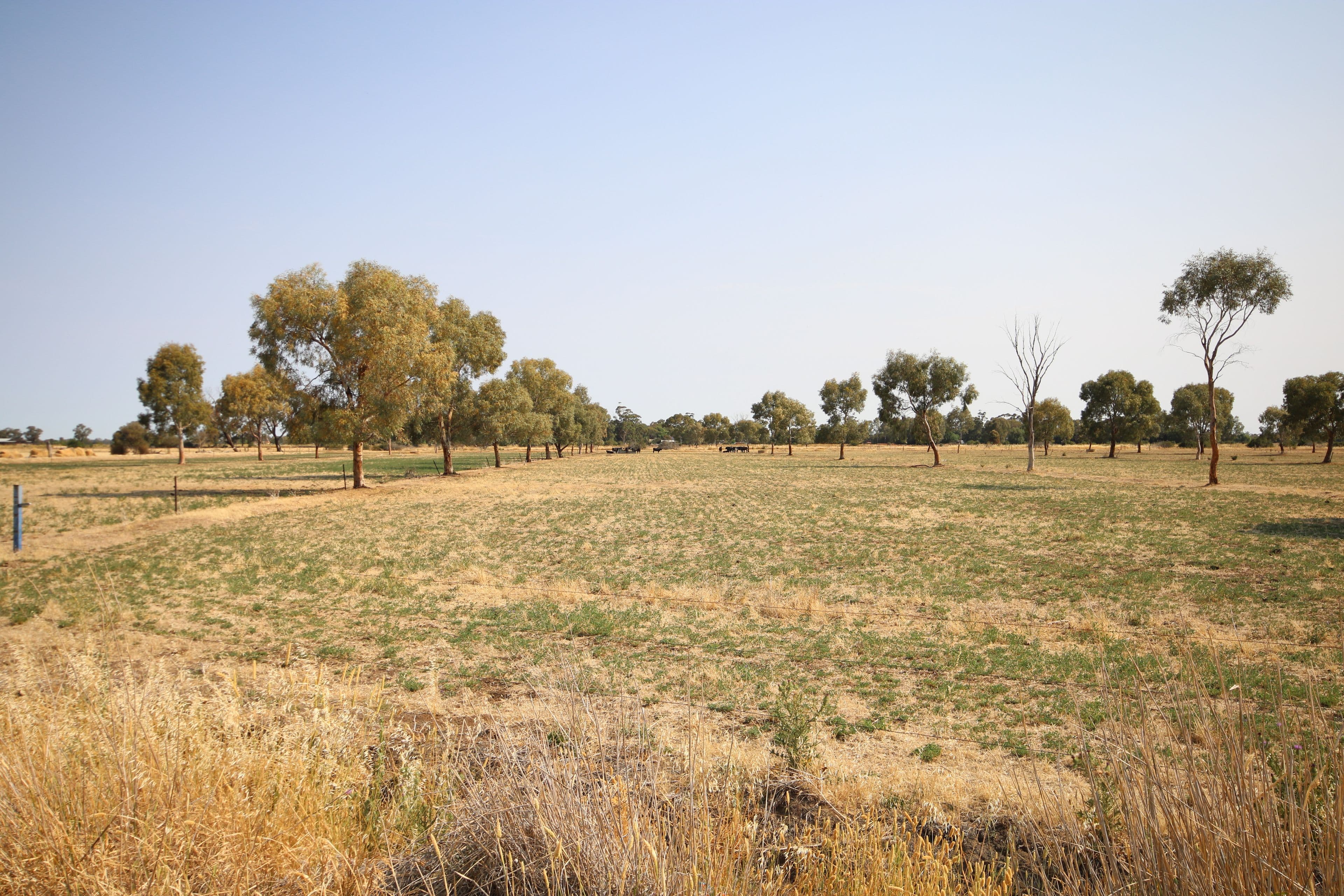 293 Hansen Road, Ballendella VIC 3561, Ballendella - Image 1