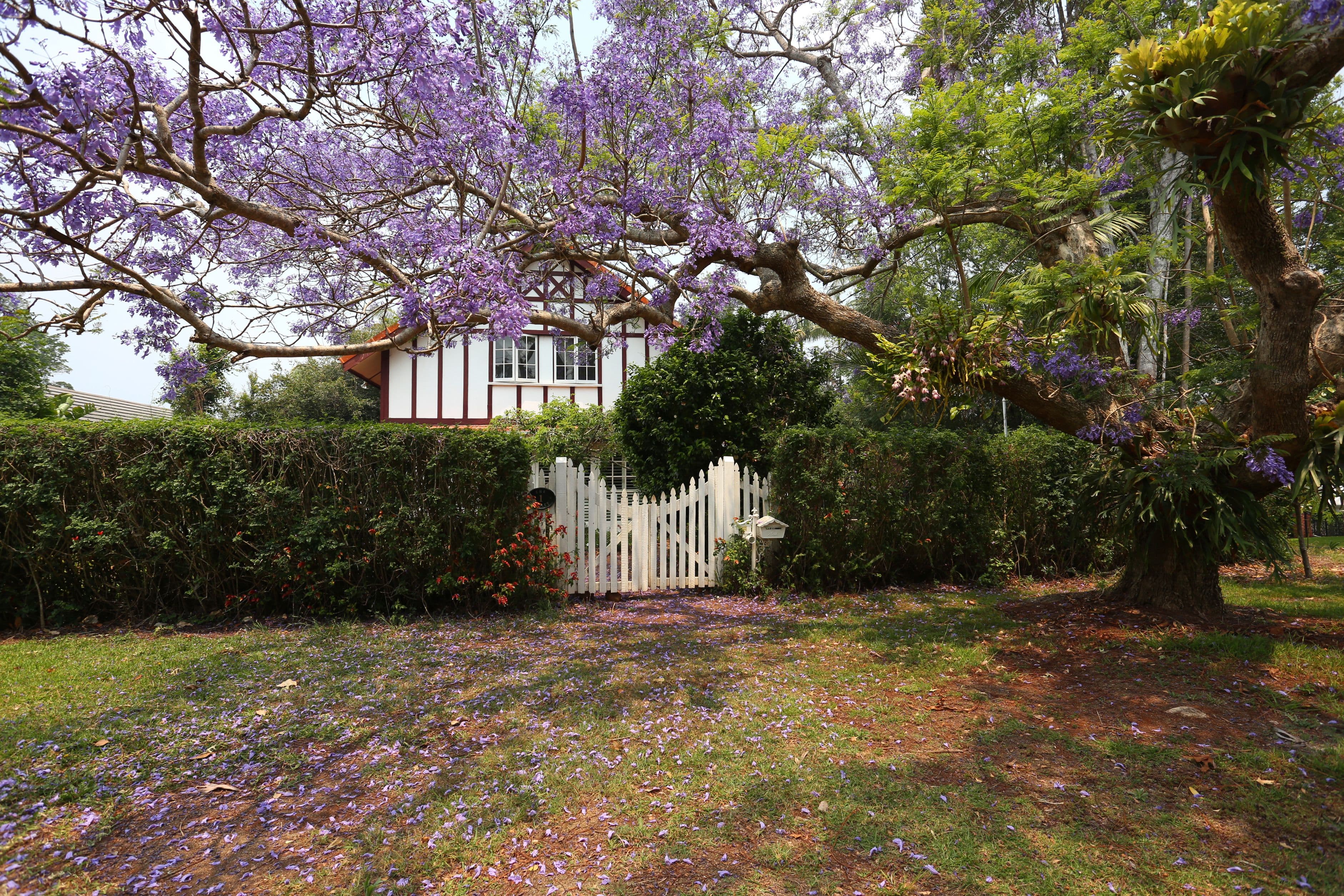 1 Cliff Way, Tamborine Mountain QLD 4272, Tamborine Mountain - Image 1