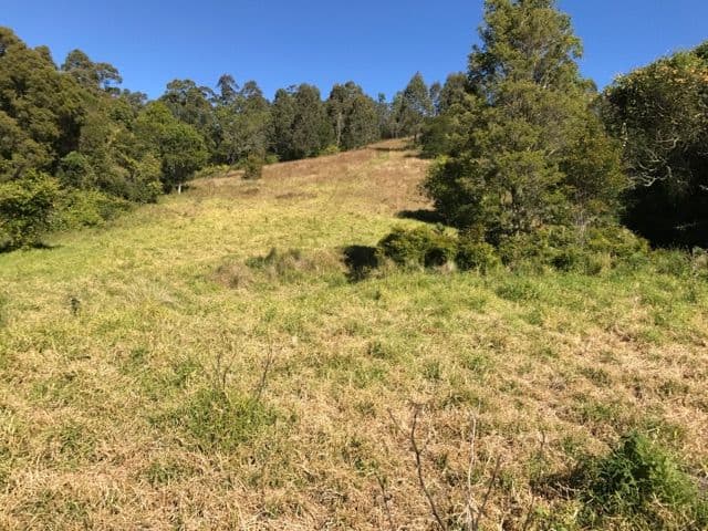 129 Quartpot Creek Road, Underbank NSW 2420, Underbank - Thumbnail 2