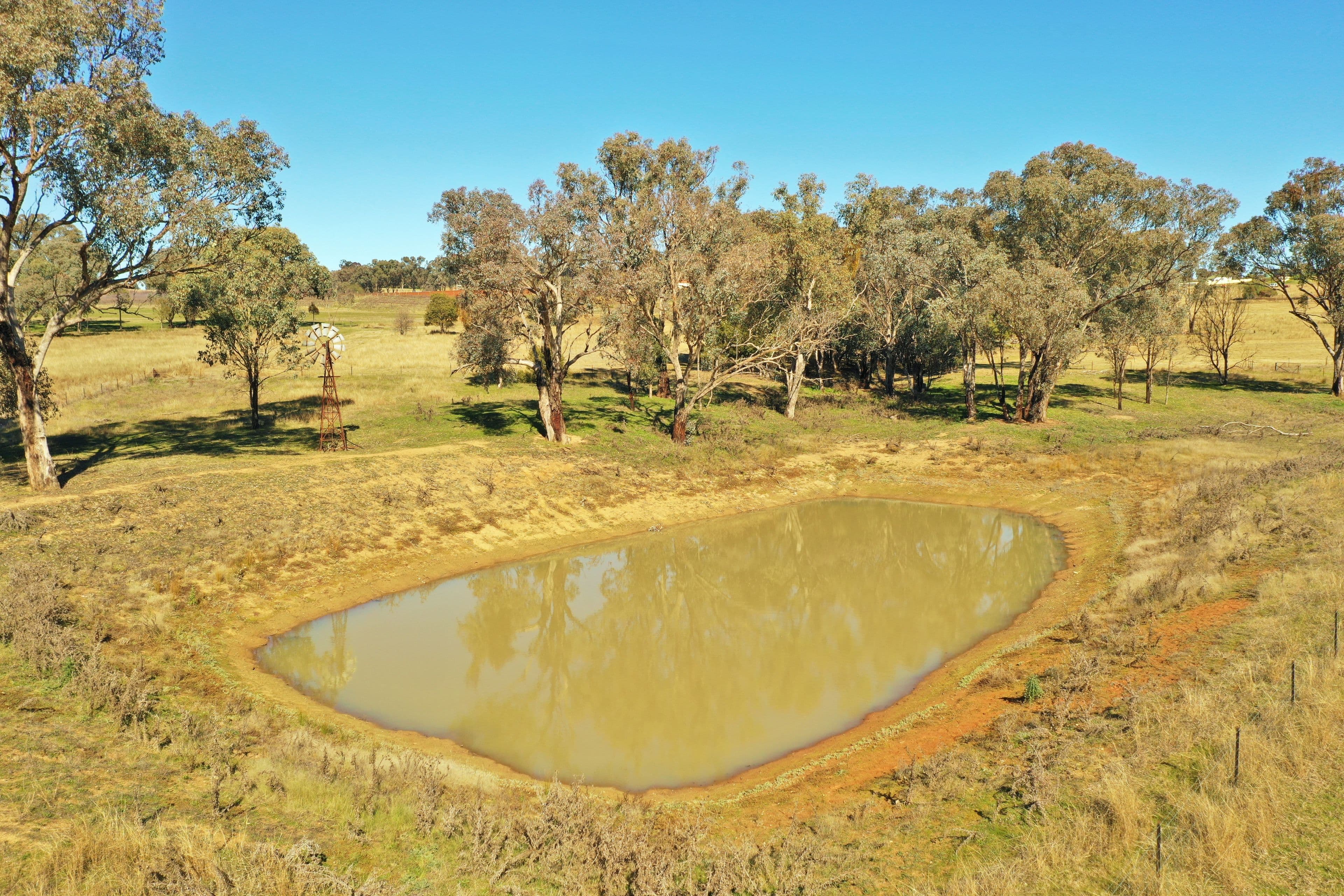 Lot 1986 Reynolds Lane, Young NSW 2594, Young - Thumbnail 6
