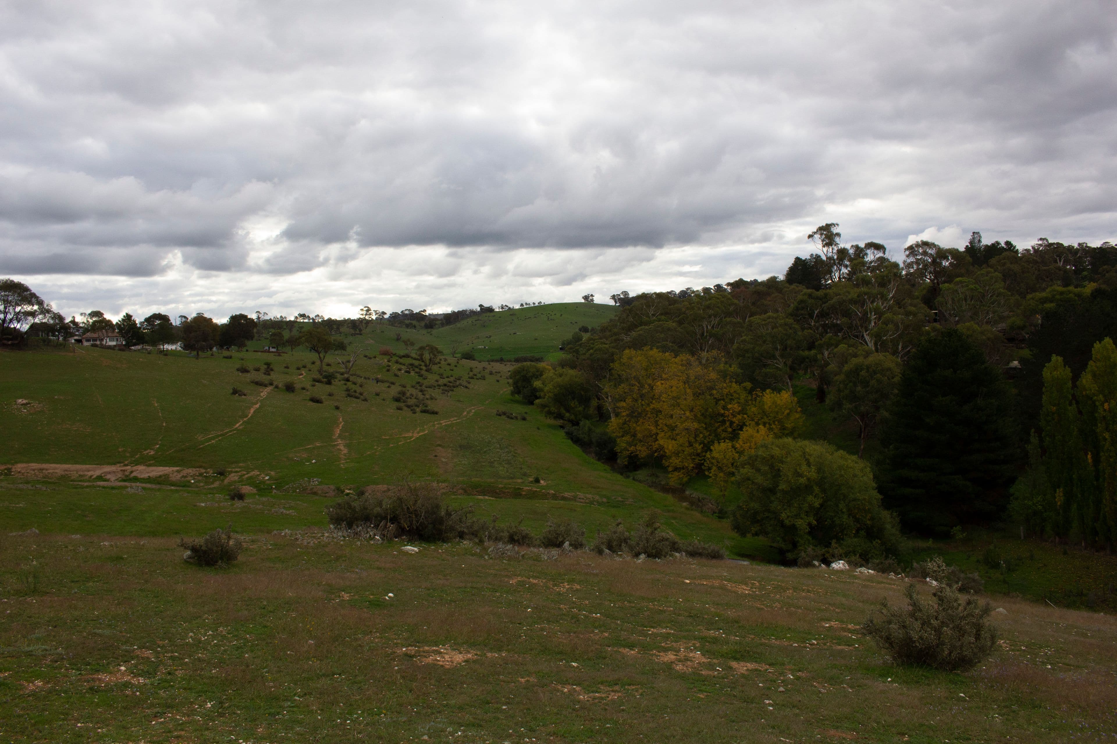 Rockley NSW 2795, Rockley - Thumbnail 2