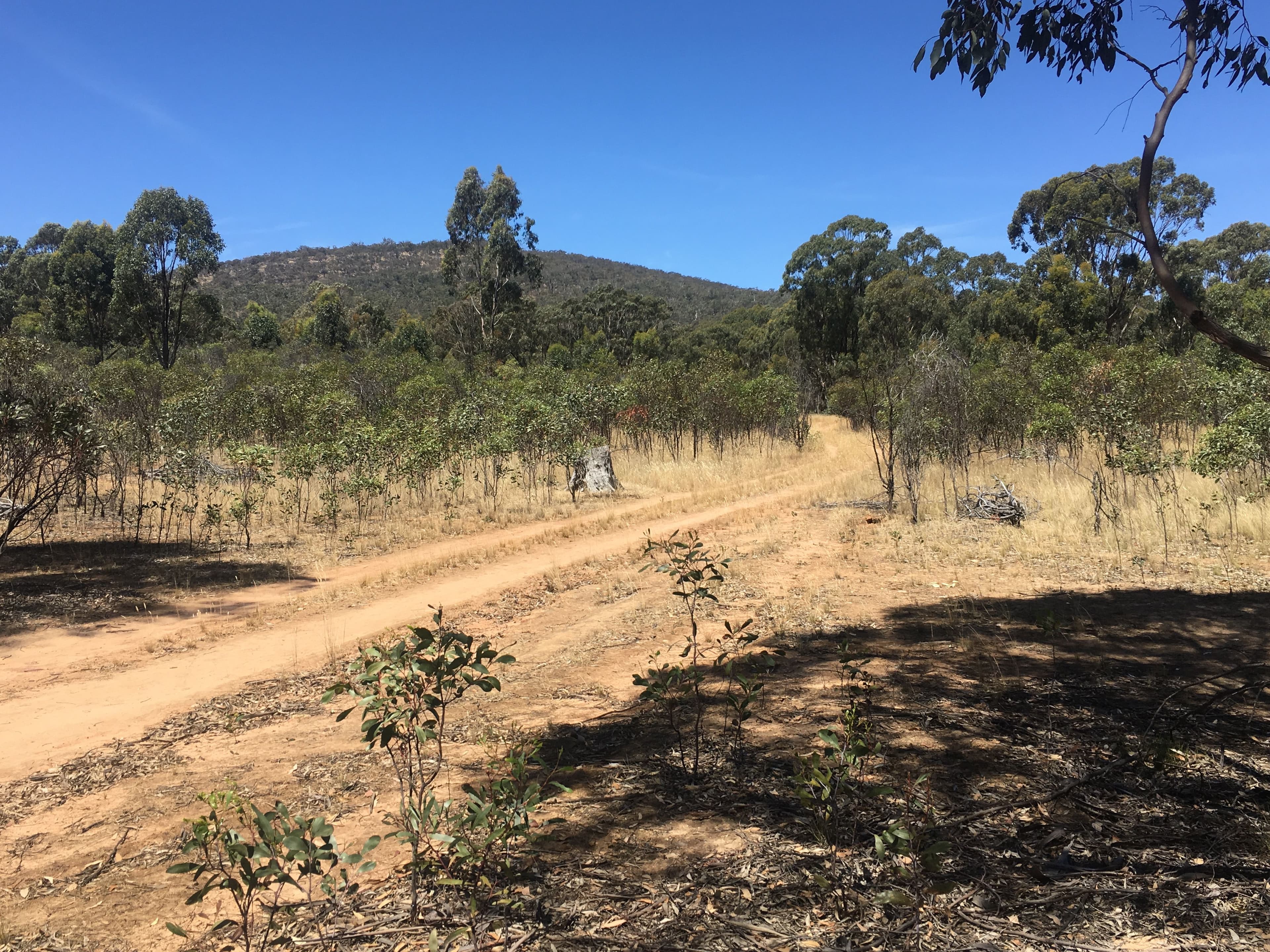 28 Forster Lane, Landsborough VIC 3384, Landsborough - Thumbnail 2